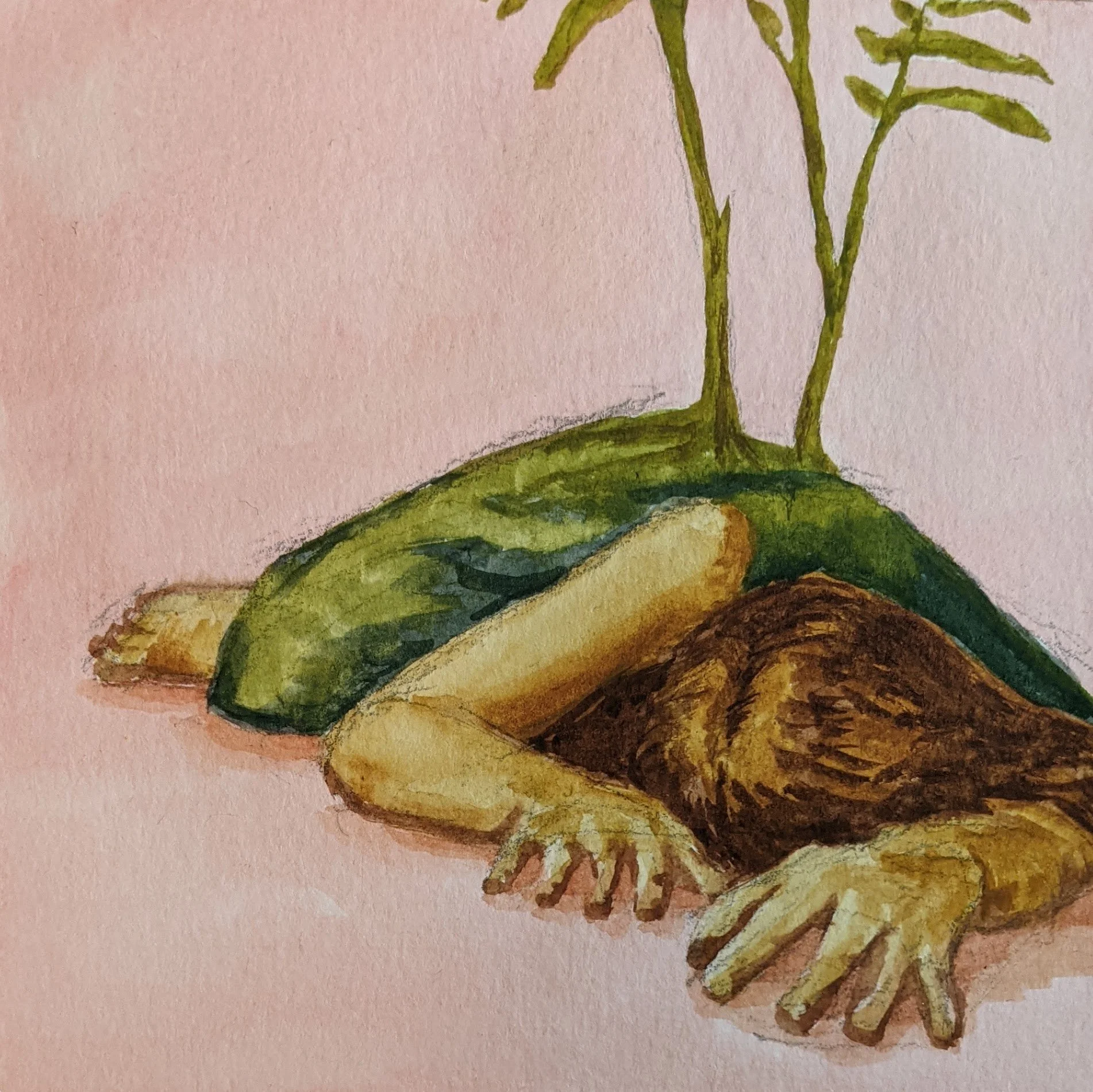 Advent Reflections &amp; Responses