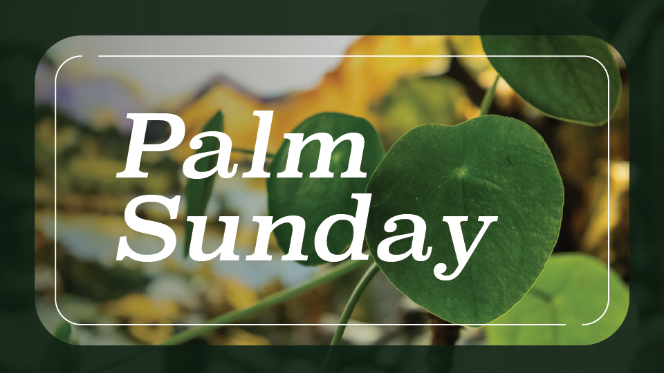 Palm Sunday cover during Isaiah sermon series