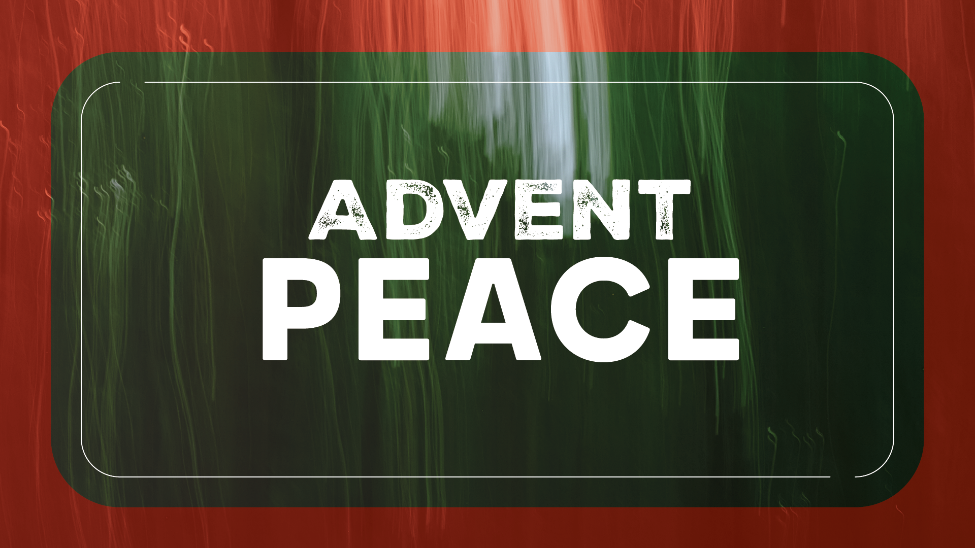 Advent Peace Cover in the Woods