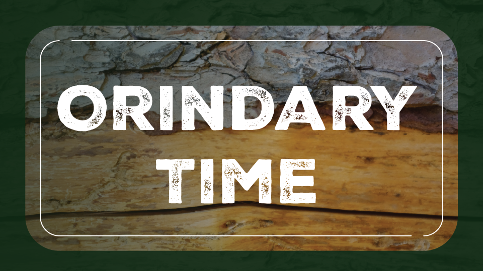 January Ordinary Time Cover