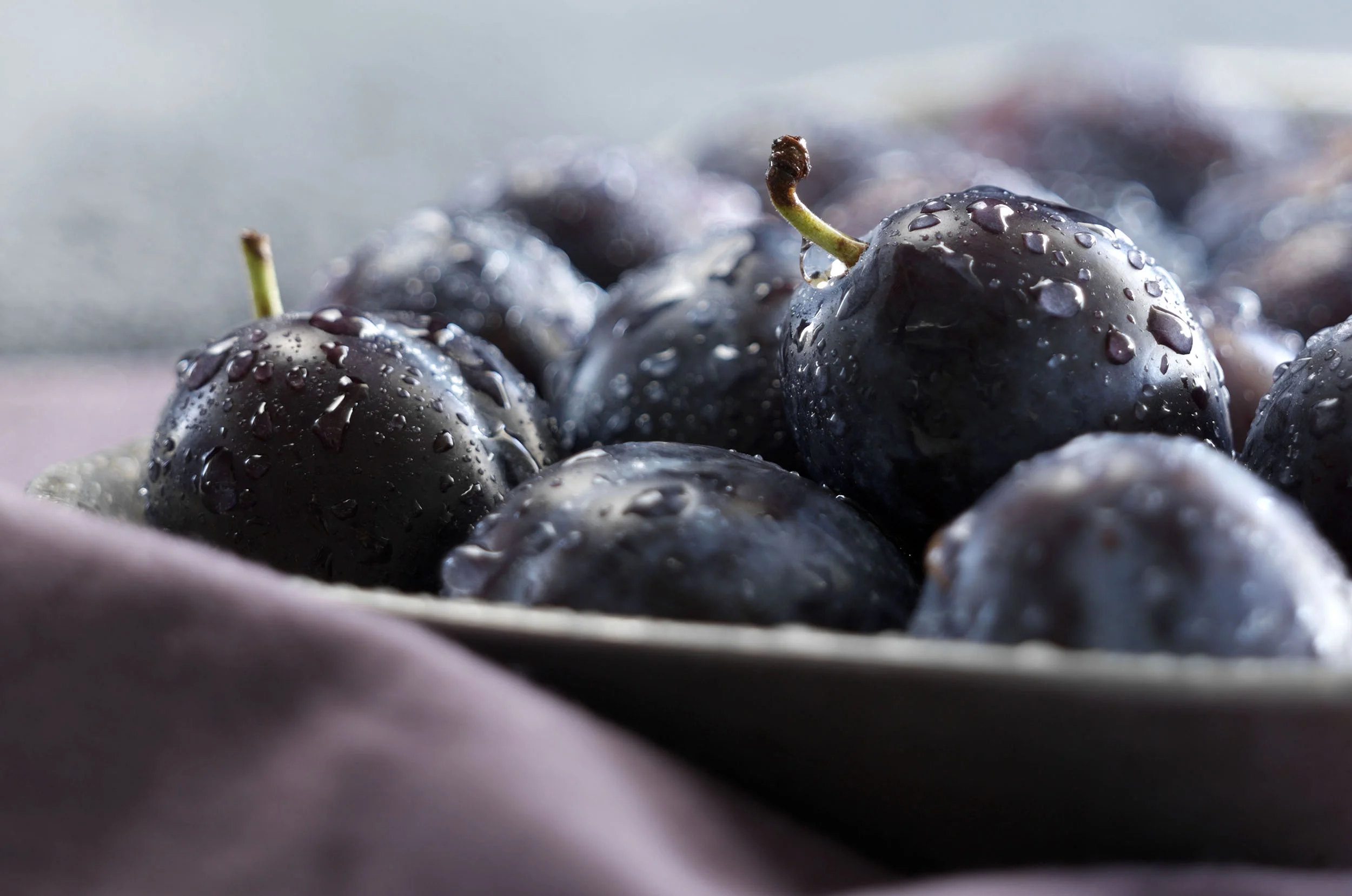 plum_2500.jpg