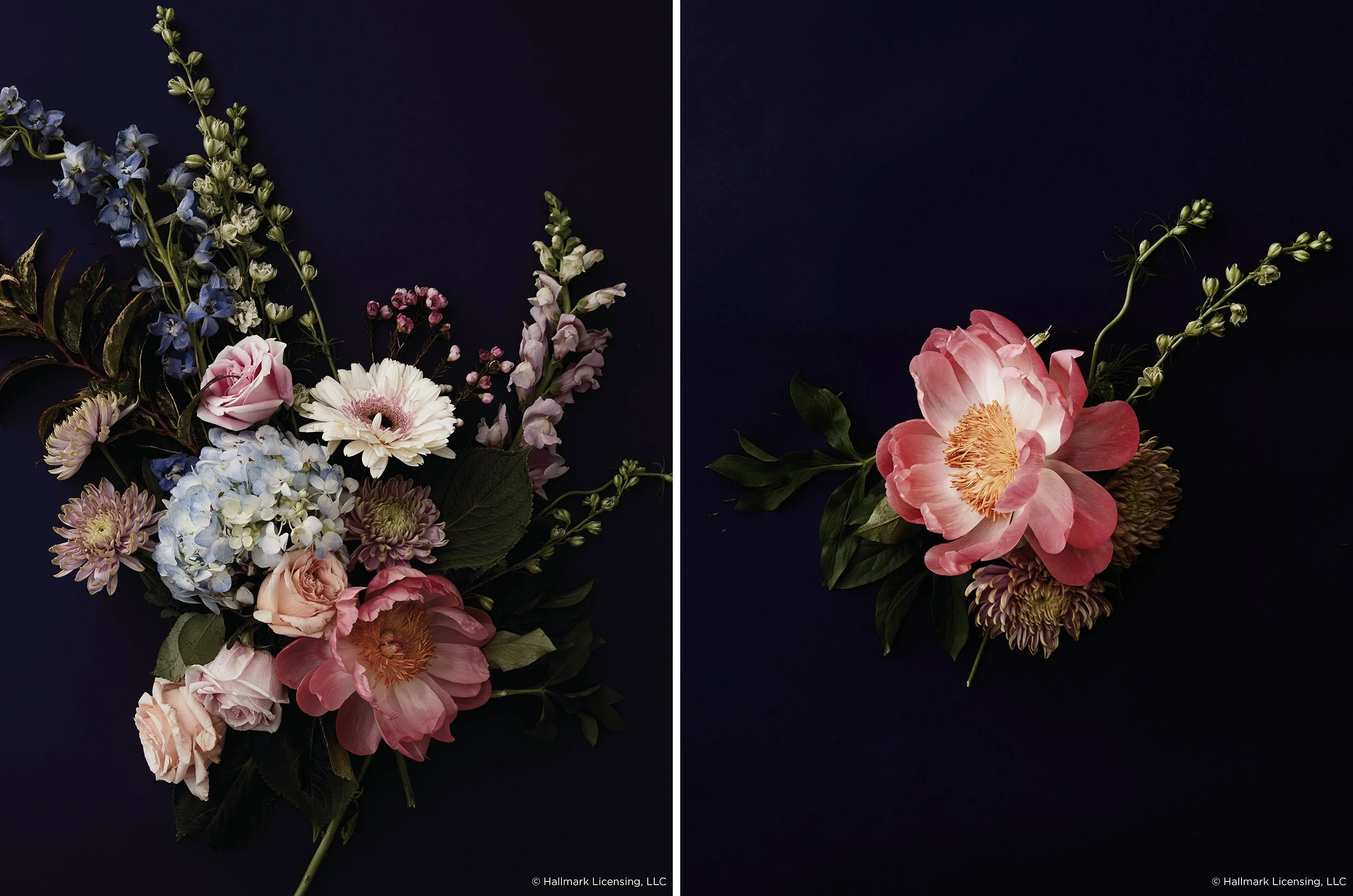 2500_72_dark_floral_diptych.jpg
