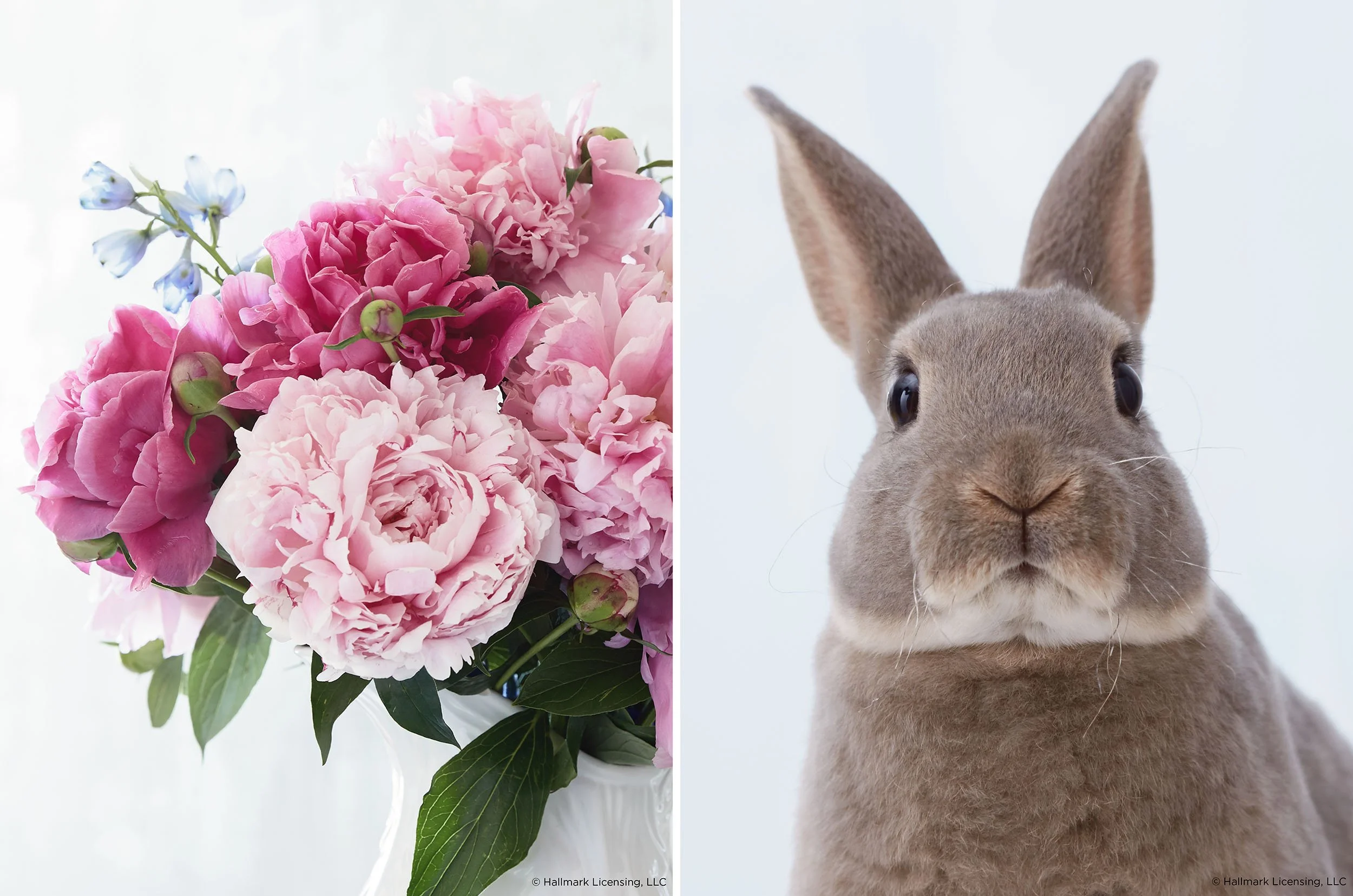 2500_72_easter_diptych_05.jpg