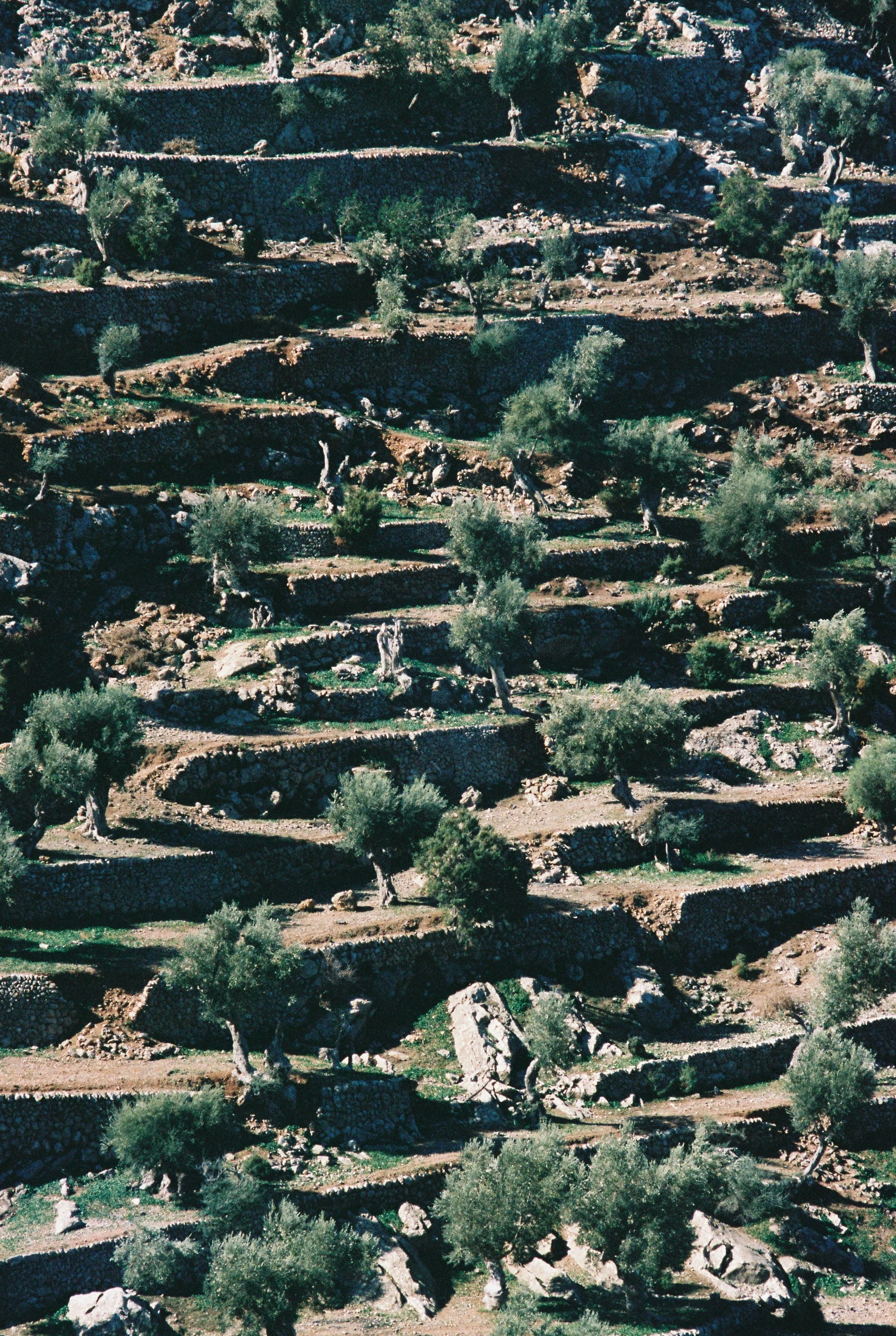 Lumara 073 (Portra 400)  (27 de 36).JPG