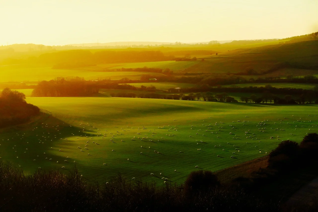 england-1979444_1280.jpg