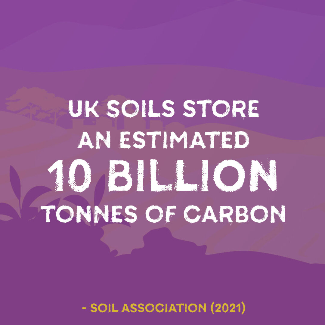 Did you know that UK soils hold 10 BLILLION tonnes of carbon? 👀

On top of that, organic farm soils are 25% more effective at storing carbon for the long-term than non-organic.