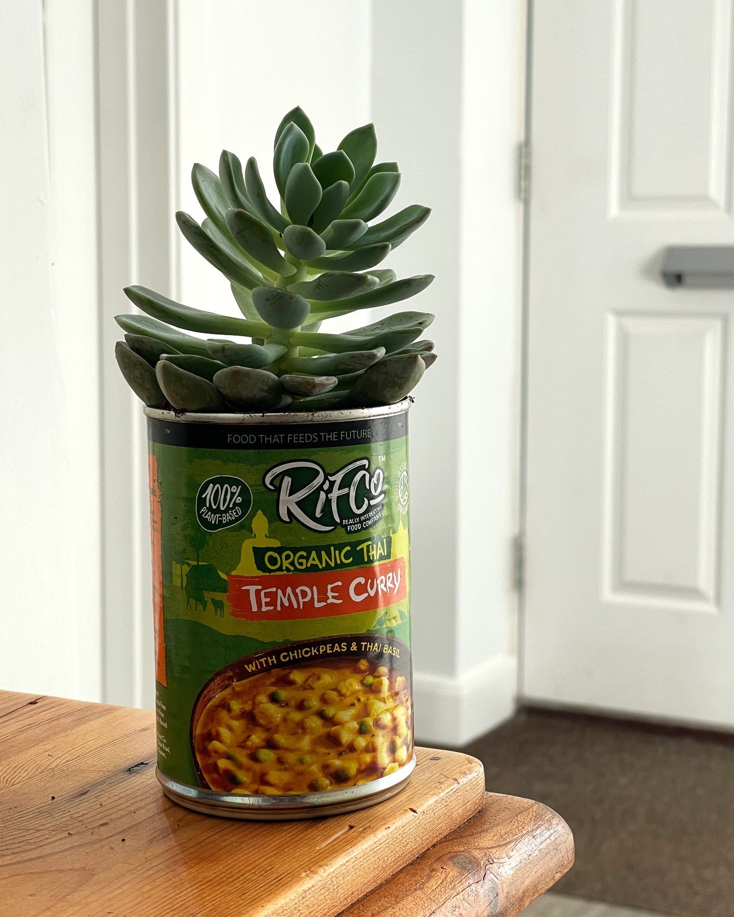 Before you throw your food tins out, consider if they could be reused for anything in your home, such as a small pot for your houseplants 🌱

Once it's fully grown and been transferred, you could plant another, use the tin for arts &amp; crafts, or r