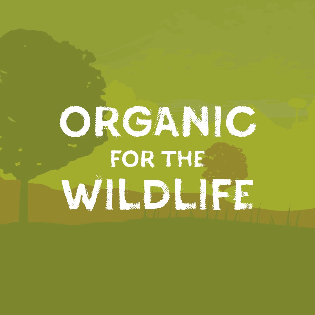 Organic farms provide homes for natural pollinators - bees, butterflies and birds, with an average of 50% more insect and birdlife on organic farms. 

The reduced level of pesticides helps to create a natural balance between plants and animals acting