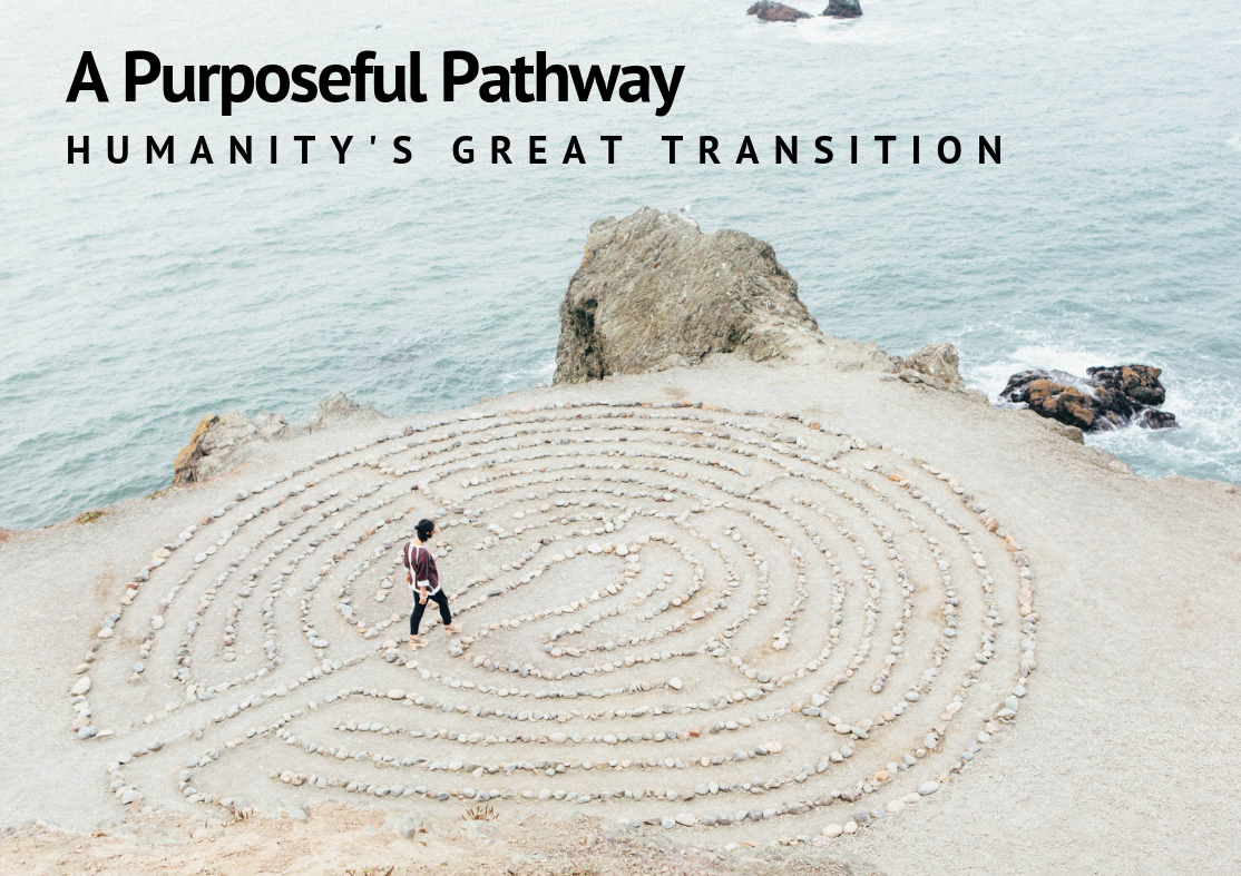 A Purposeful Pathway: Humanity's Great Transition (Copy)