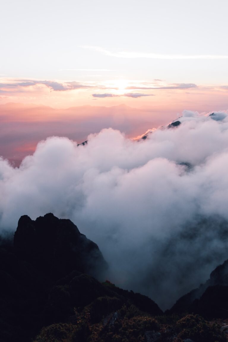 We Need Courage, Not Hope, to Face Climate Change