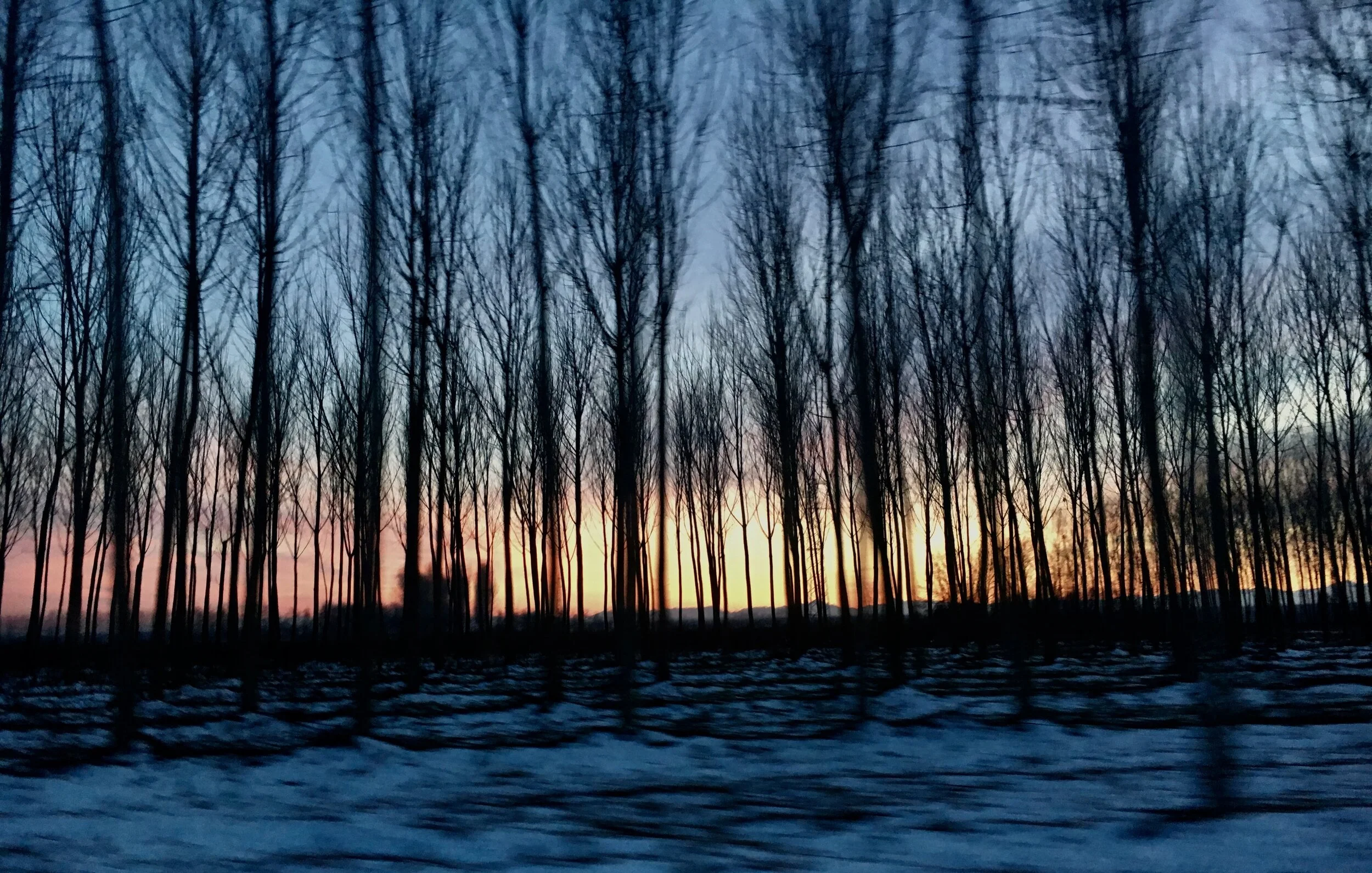 Nourishment for my political imagination