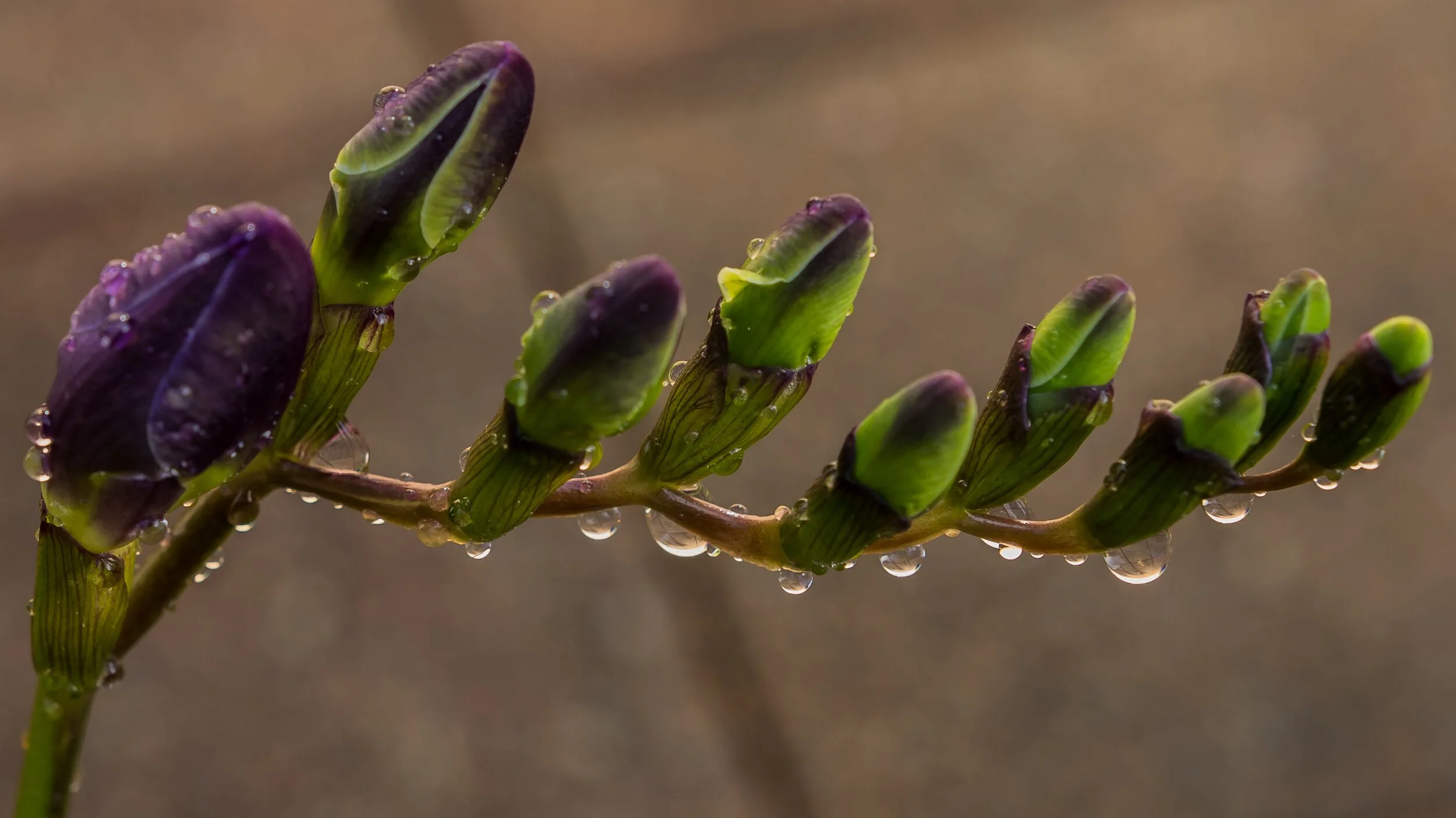 This moment is ripe for transformation