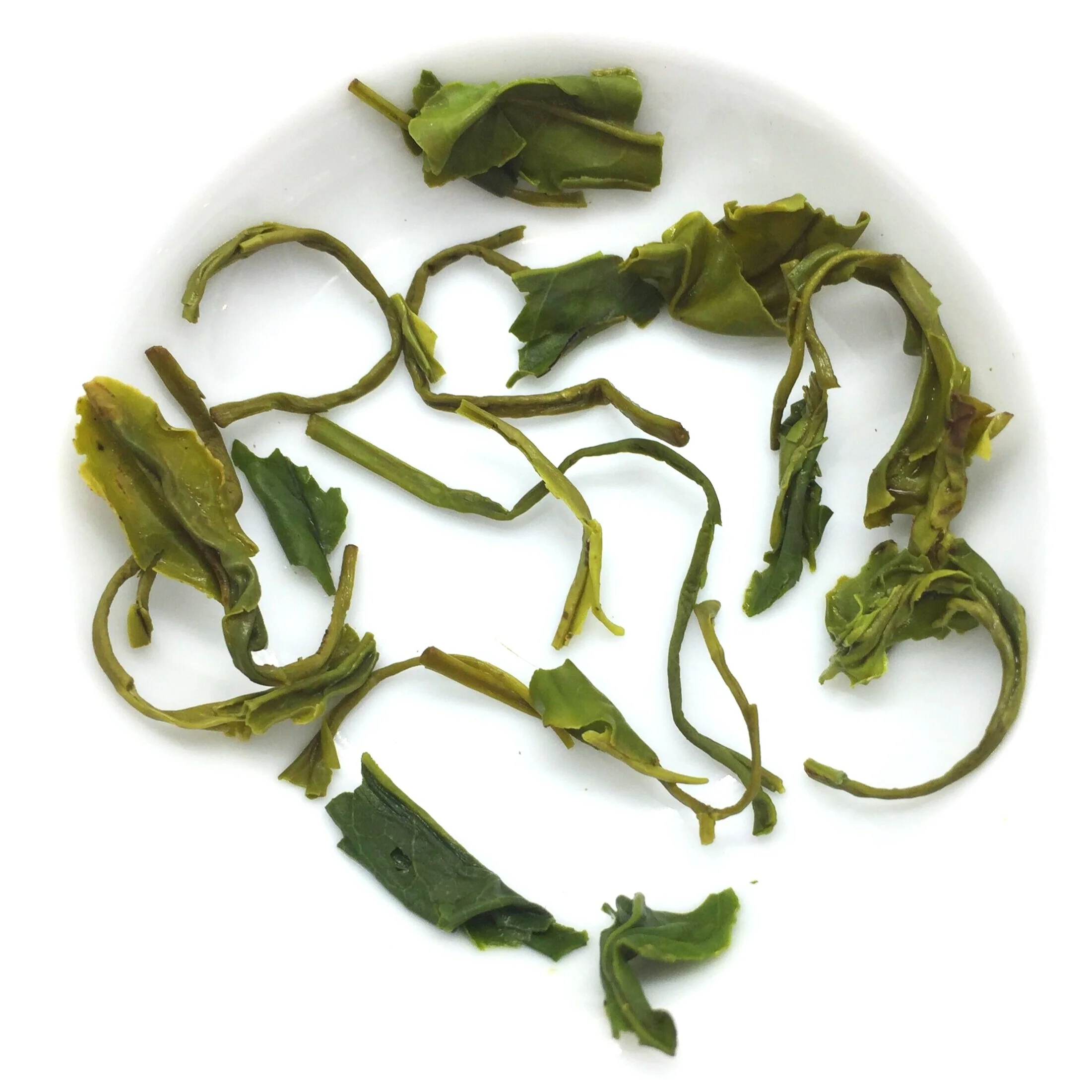 Laoshan Green Tea from Shandong, China