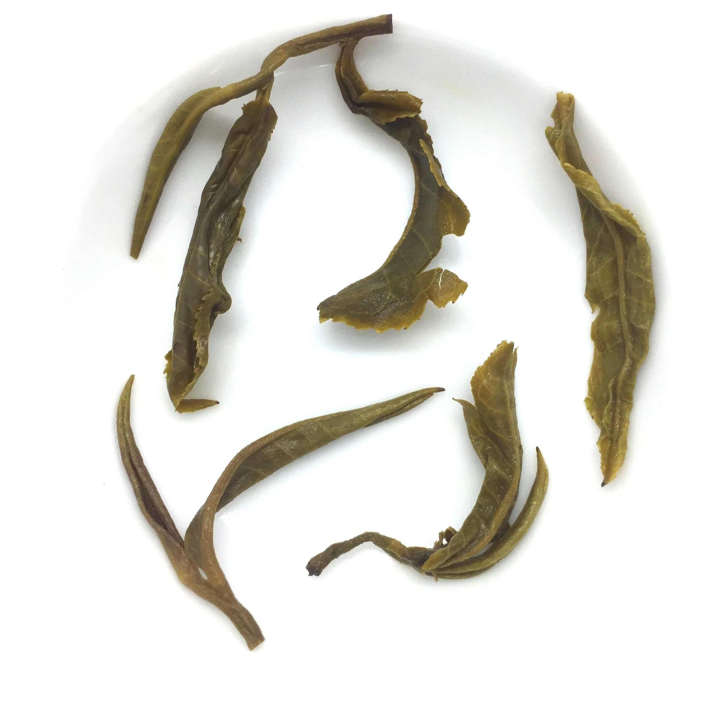 Jasmine Dragon Ball Green Tea also known as Jasmine Pearls Green Tea