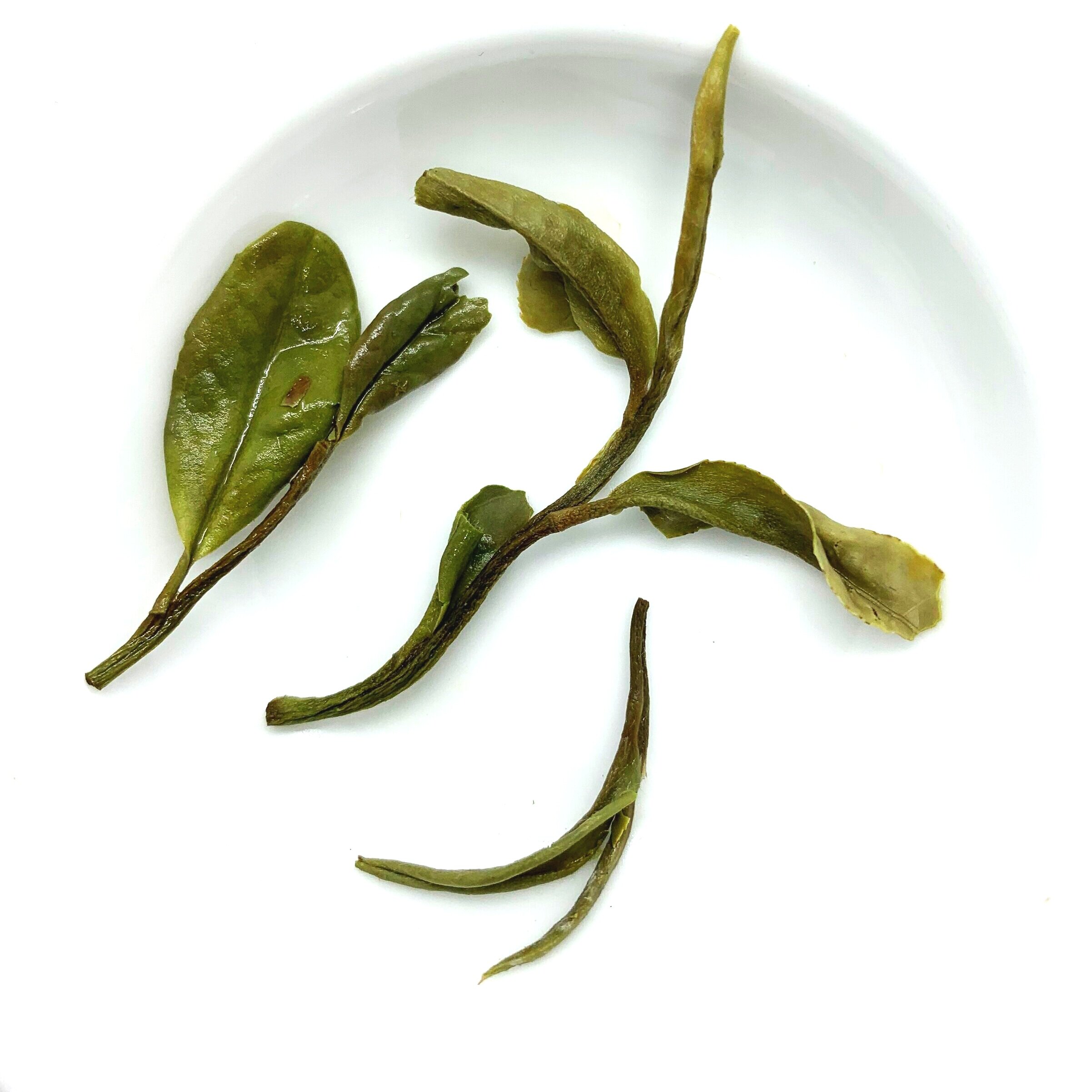 White Peony or Bai Mu Dan white tea from Zhenghe, Fujian, China