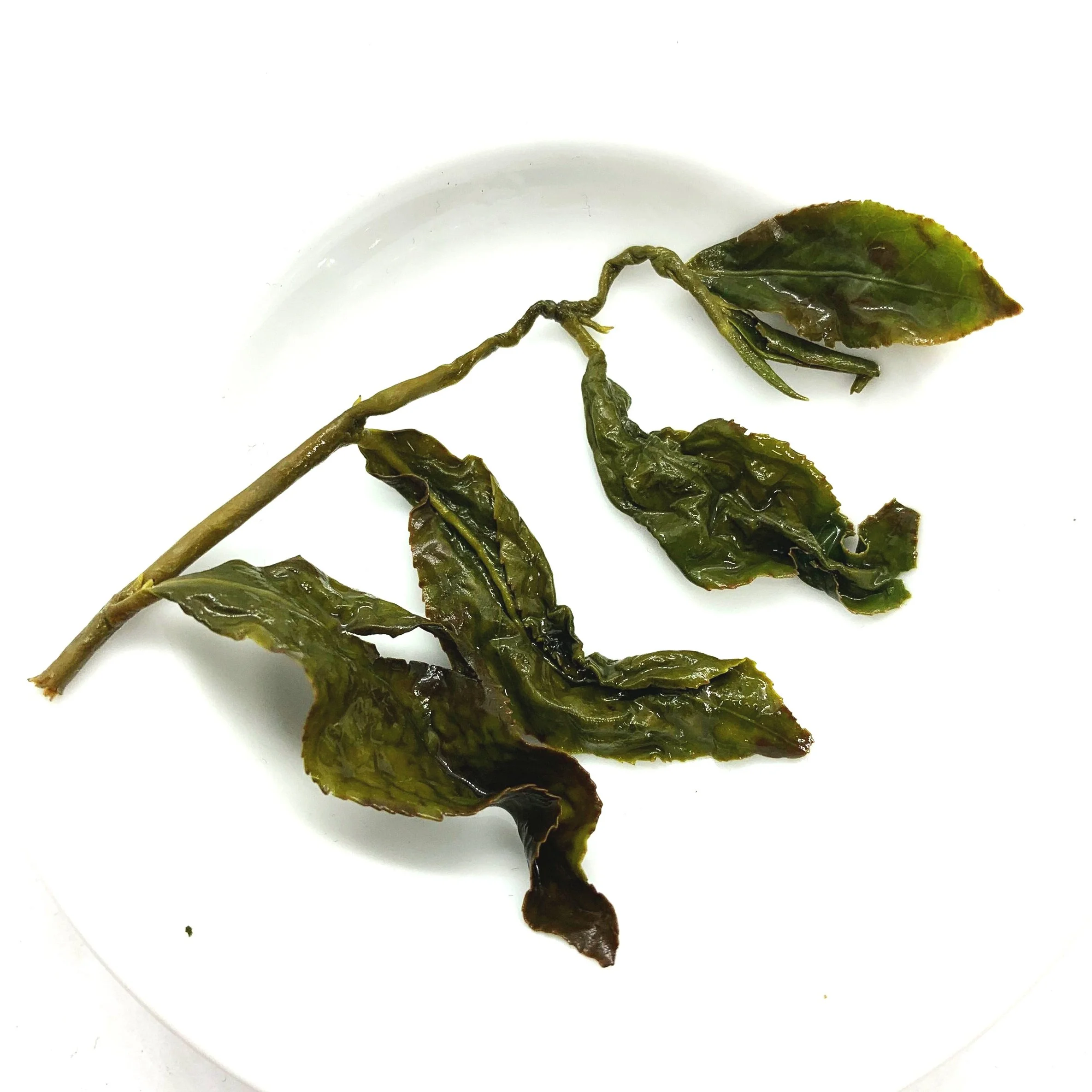 High Mountain Taiwan Oolong from Li Shan