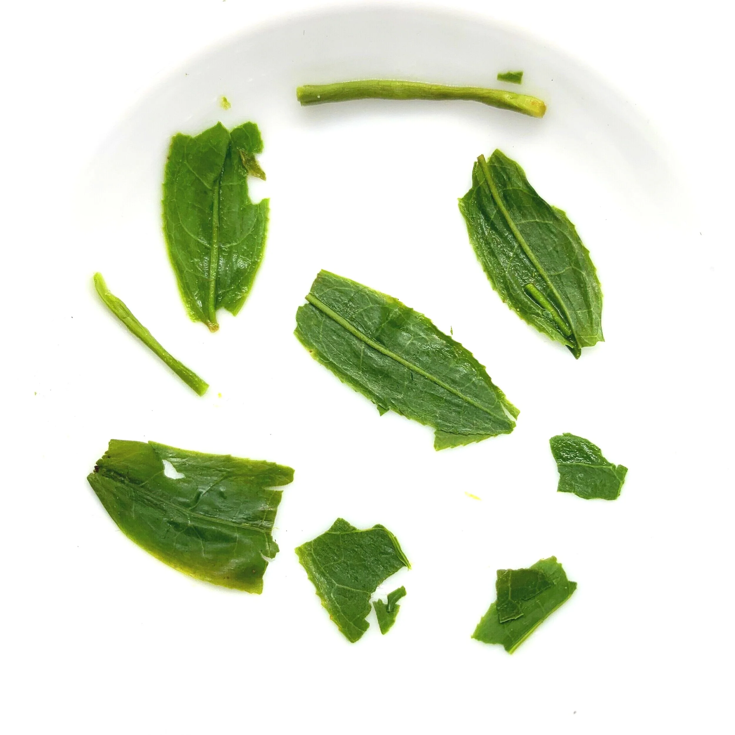 煎茶の芸術 専門書「The Art of Sencha」 Tea of the Sages: The Art of Sencha. By Patricia J. Graham – Tea