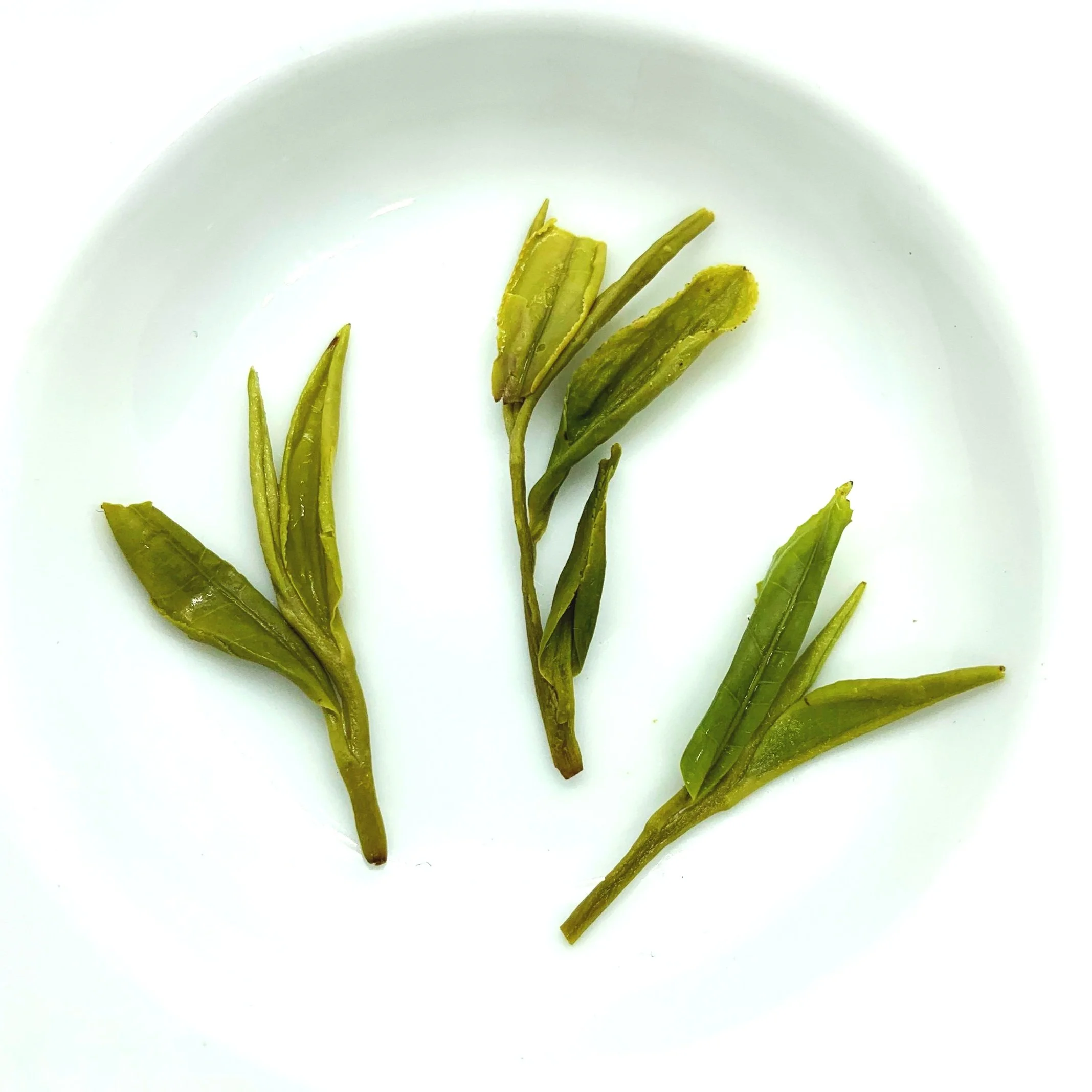 Longjing Green tea from Dongmuwu Village, Xihu, West Lake, Zhejiang