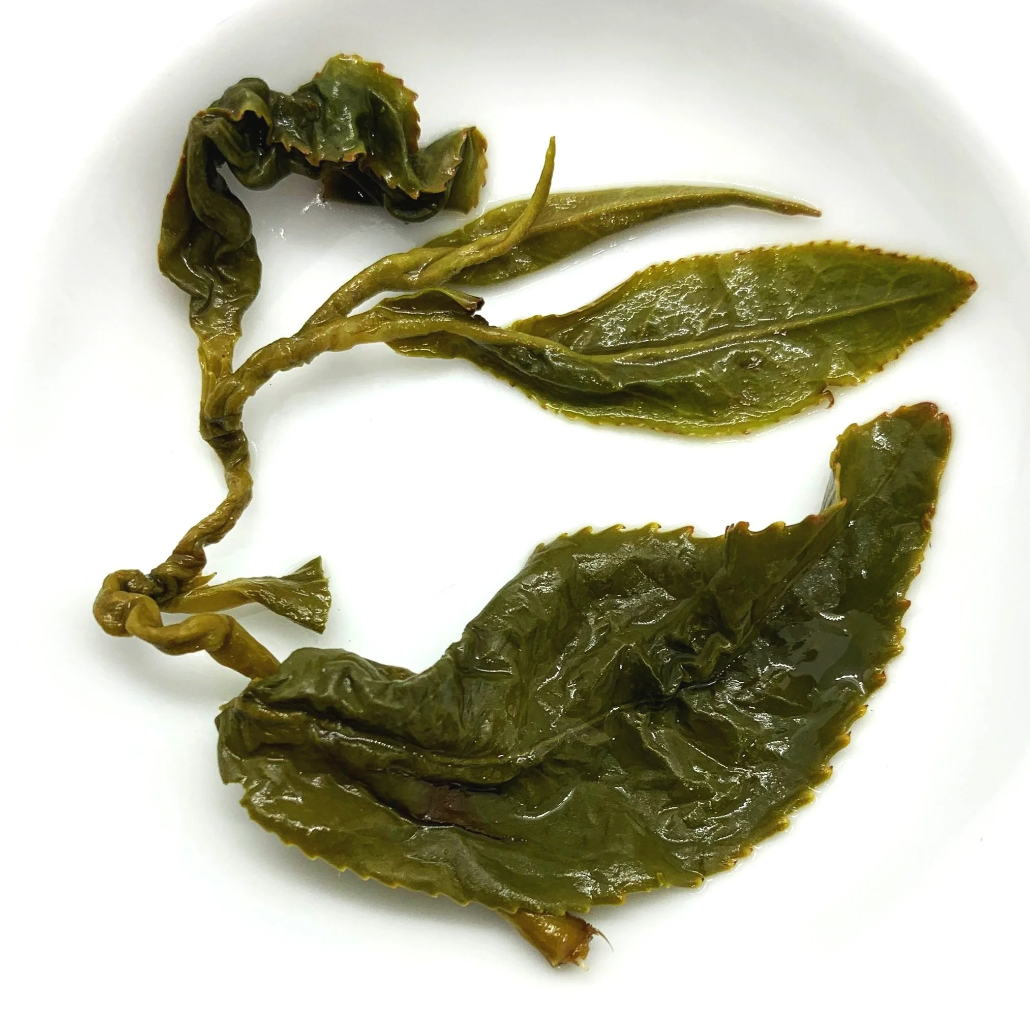 Da Yu Ling Oolong Tea from Taiwan