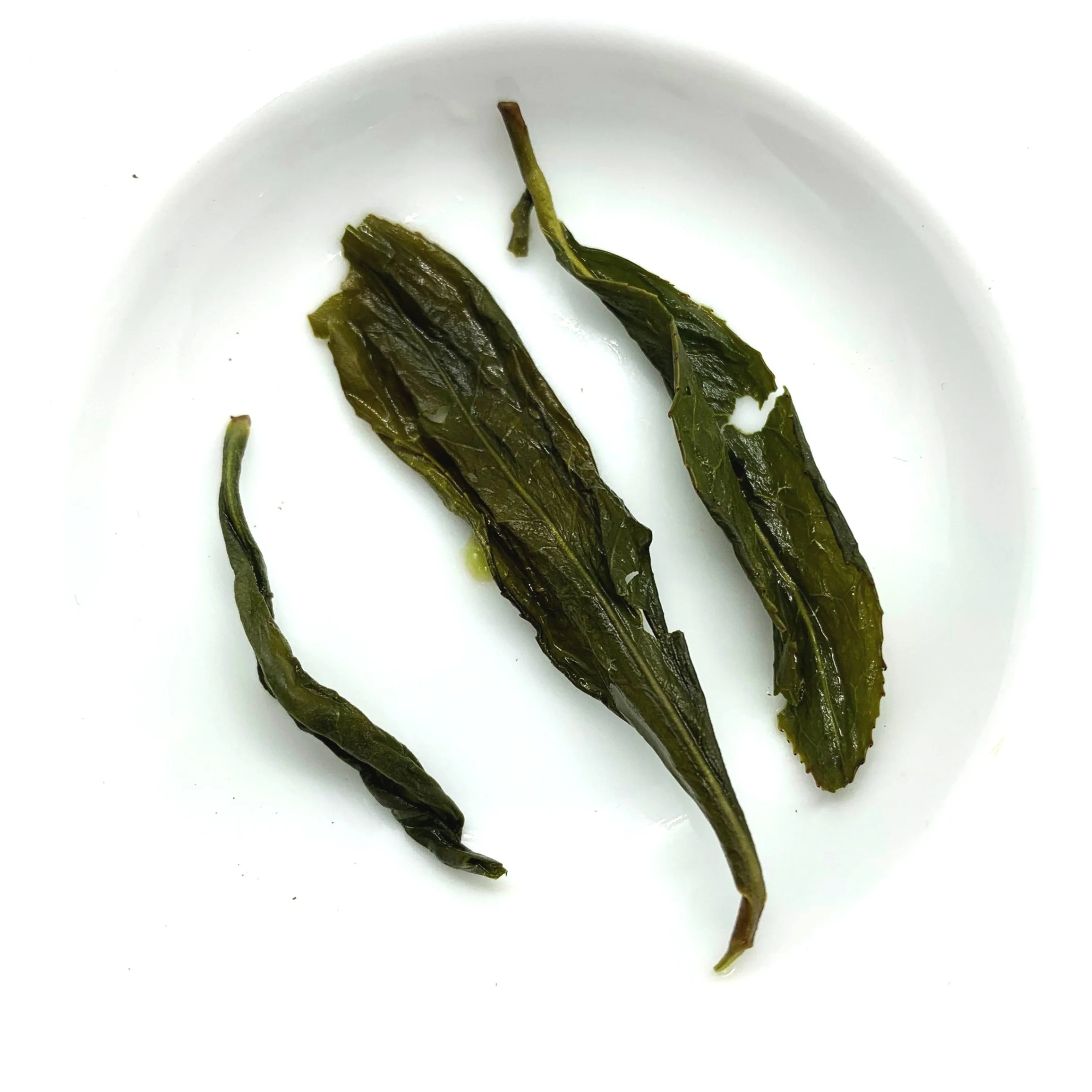 Fine+WSBZ+leaves.jpg