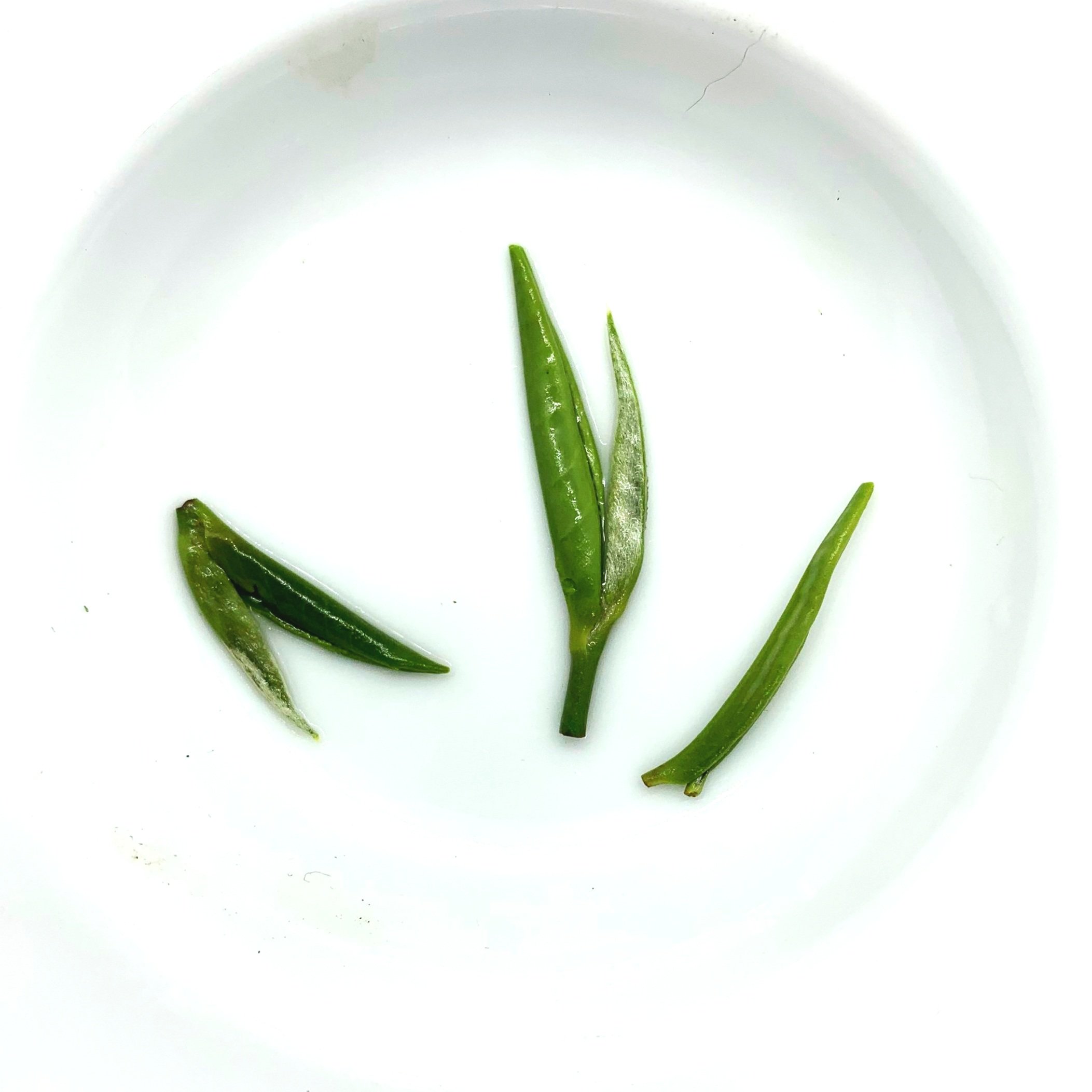 Zhu+Ye+Qing+leaves.jpg