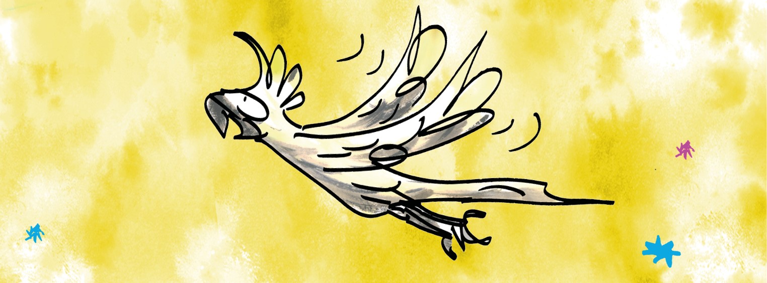header six questions.jpg