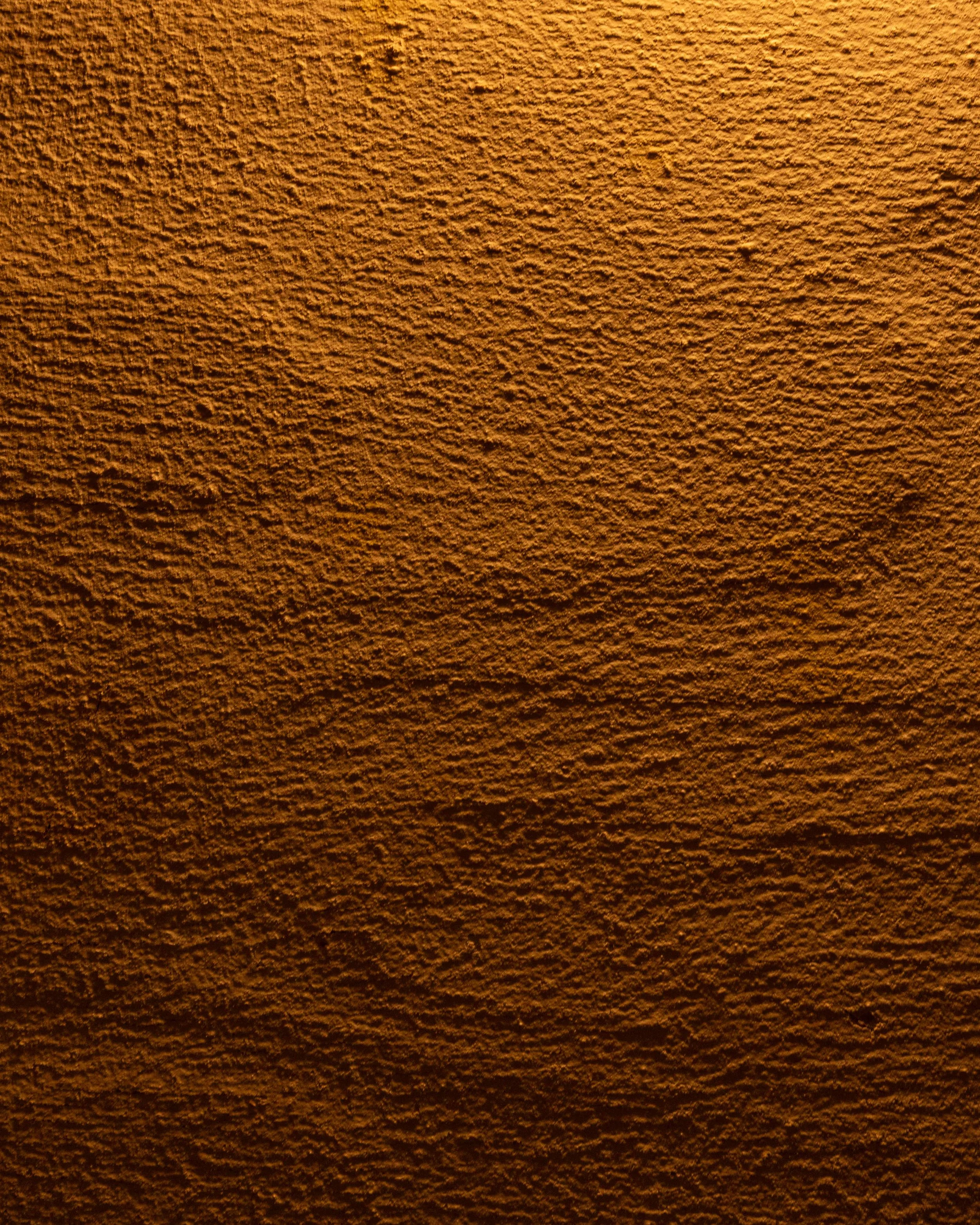 HO9A0682.jpg