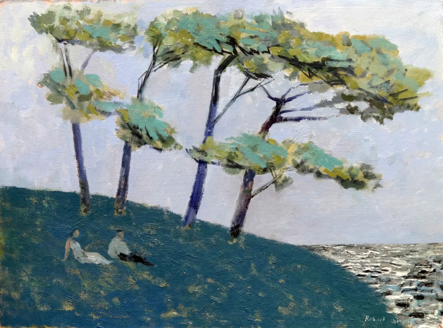 Shore Pines , oil, 46x61cm