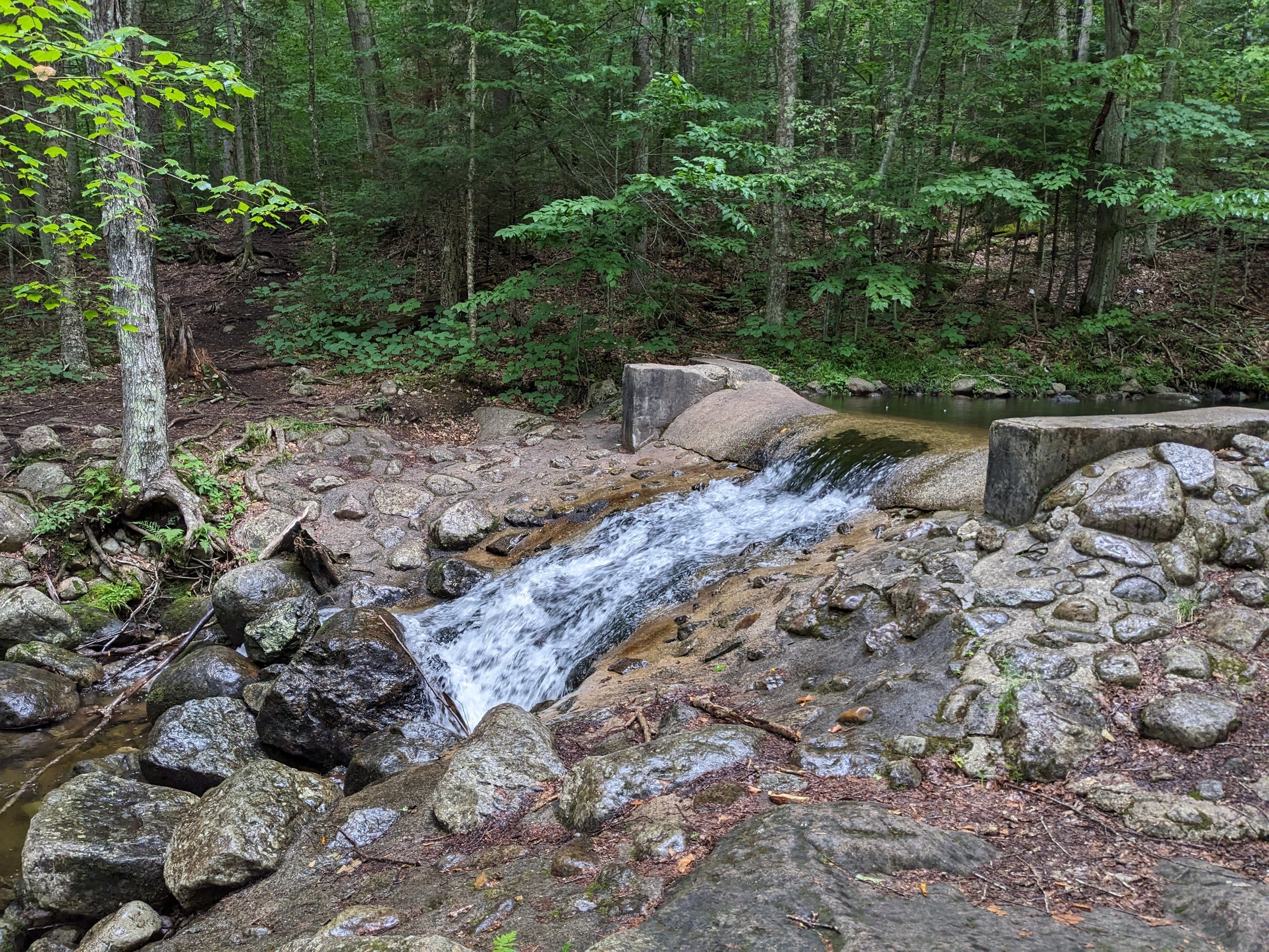 PXL_20230731_155127734.jpg