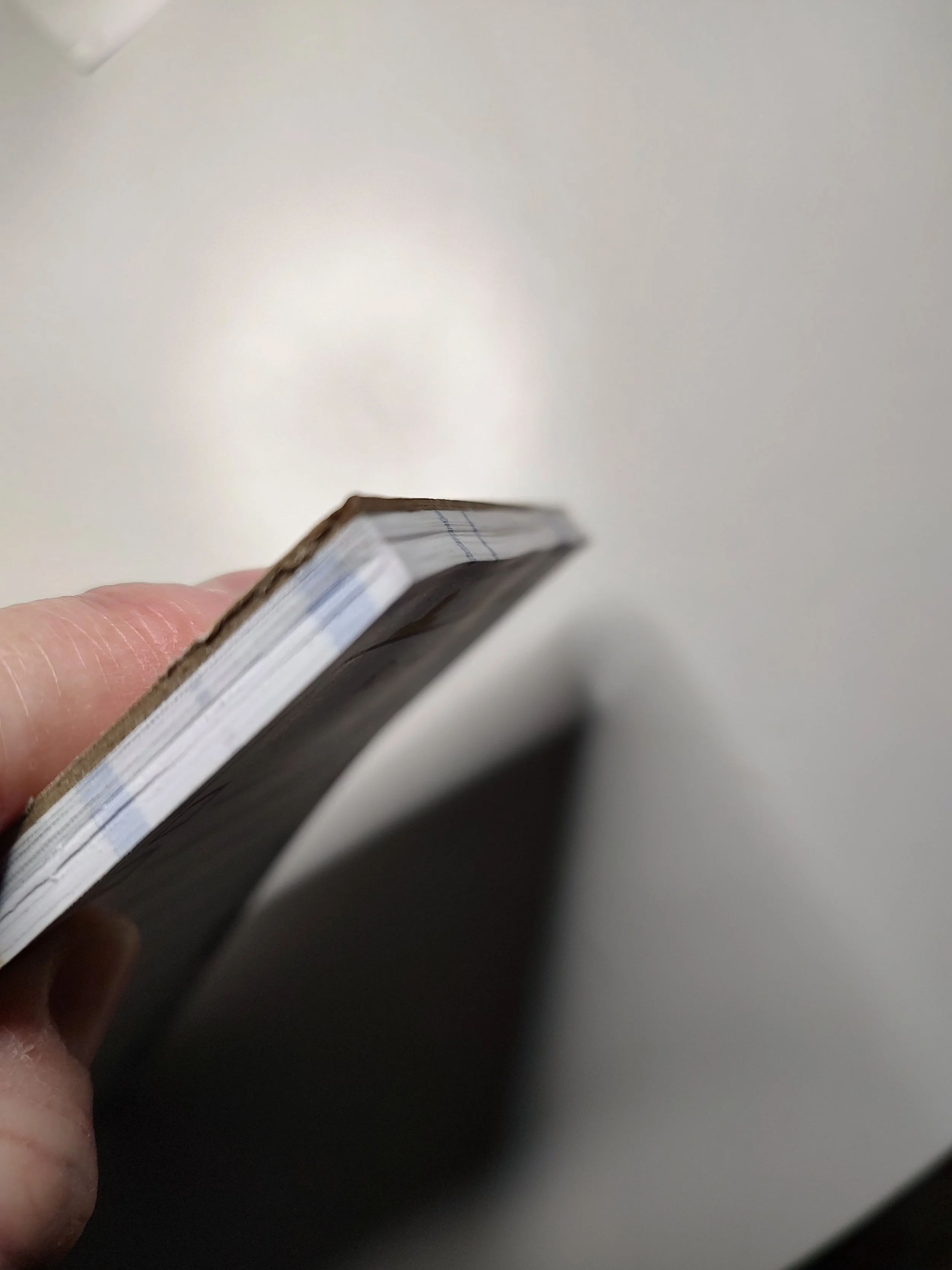 IMG_20260131_174217780_HDR (1).jpg