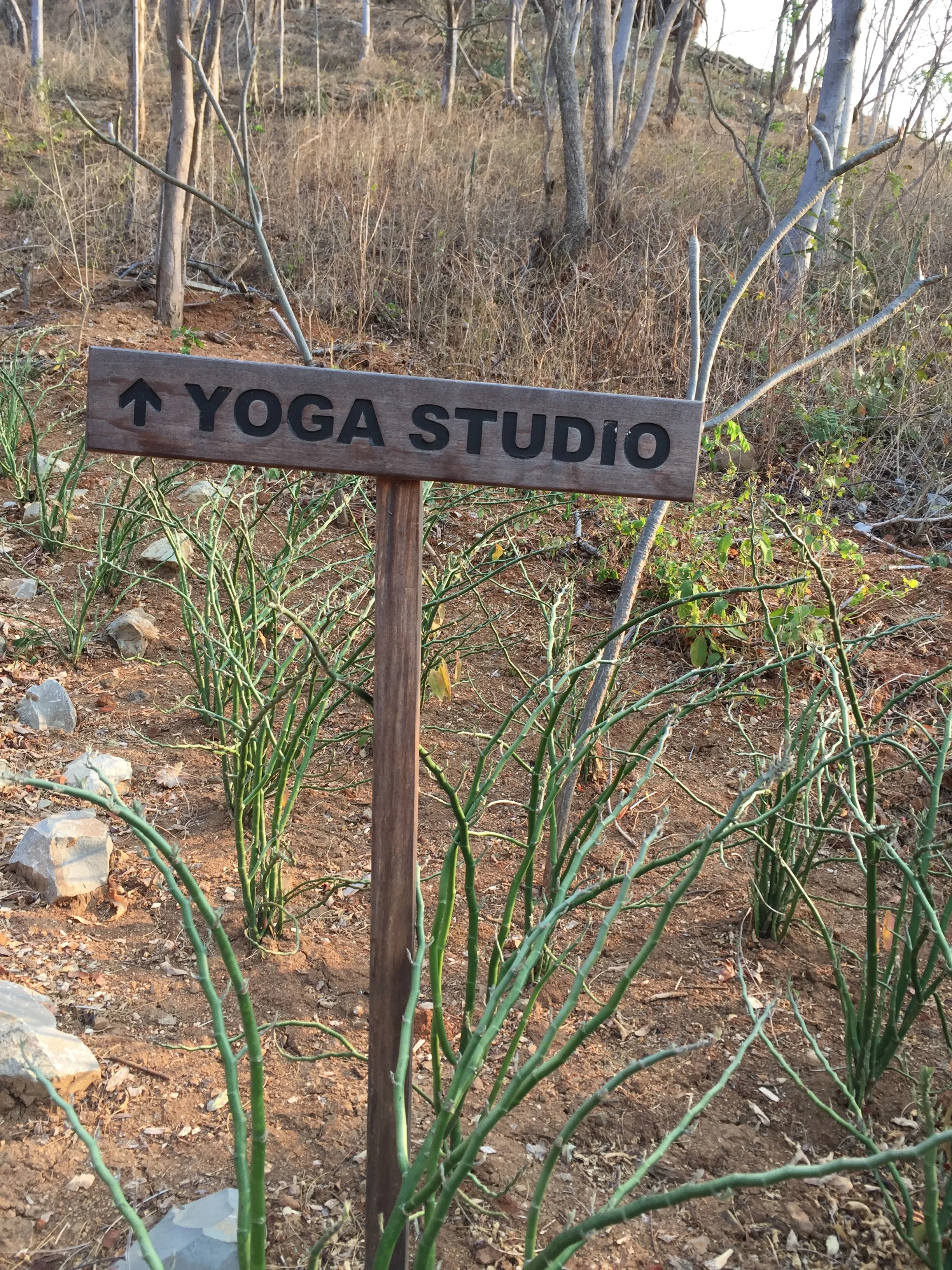 Nica Yoga Studio.jpg