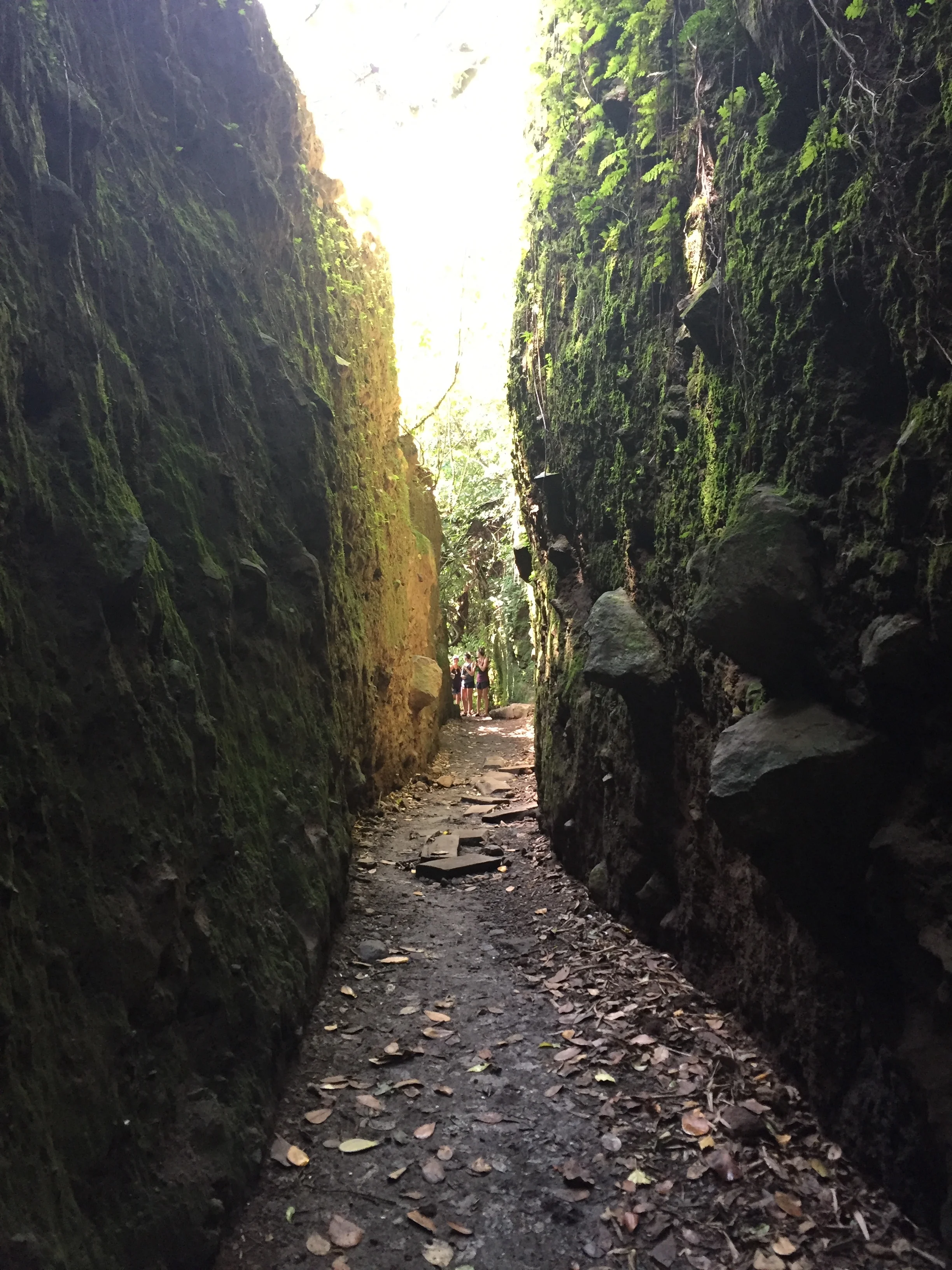 What will YOU find when you go on a B Zen retreat?