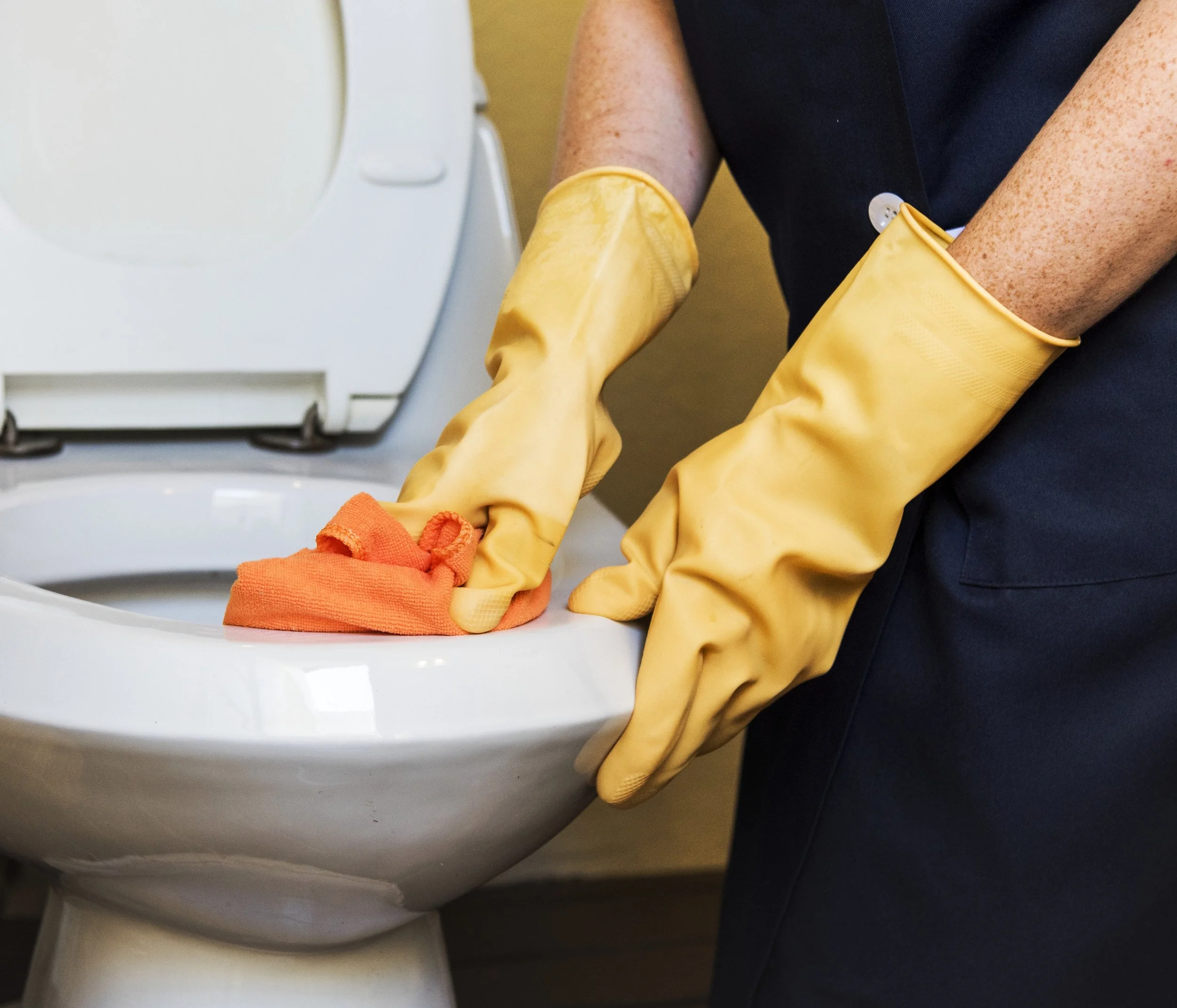 Your household cleaners could be toxic.