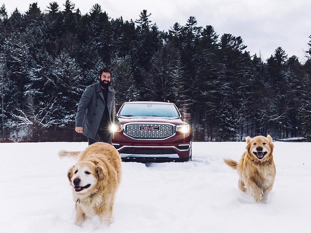 twitter_acadia_dogs.jpeg