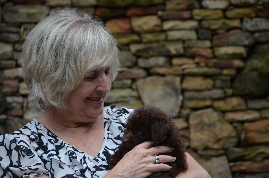Tiny-the-mini-Labradoodle-puppy-6.jpeg