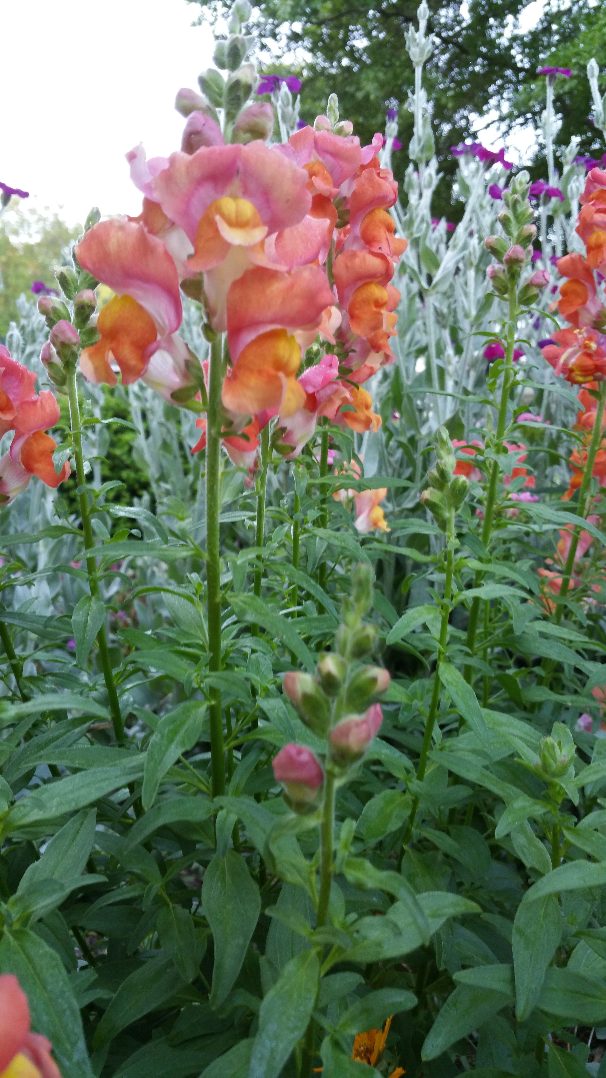 20180510_070839.jpg