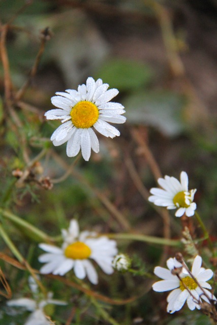 IMG_9134.jpeg