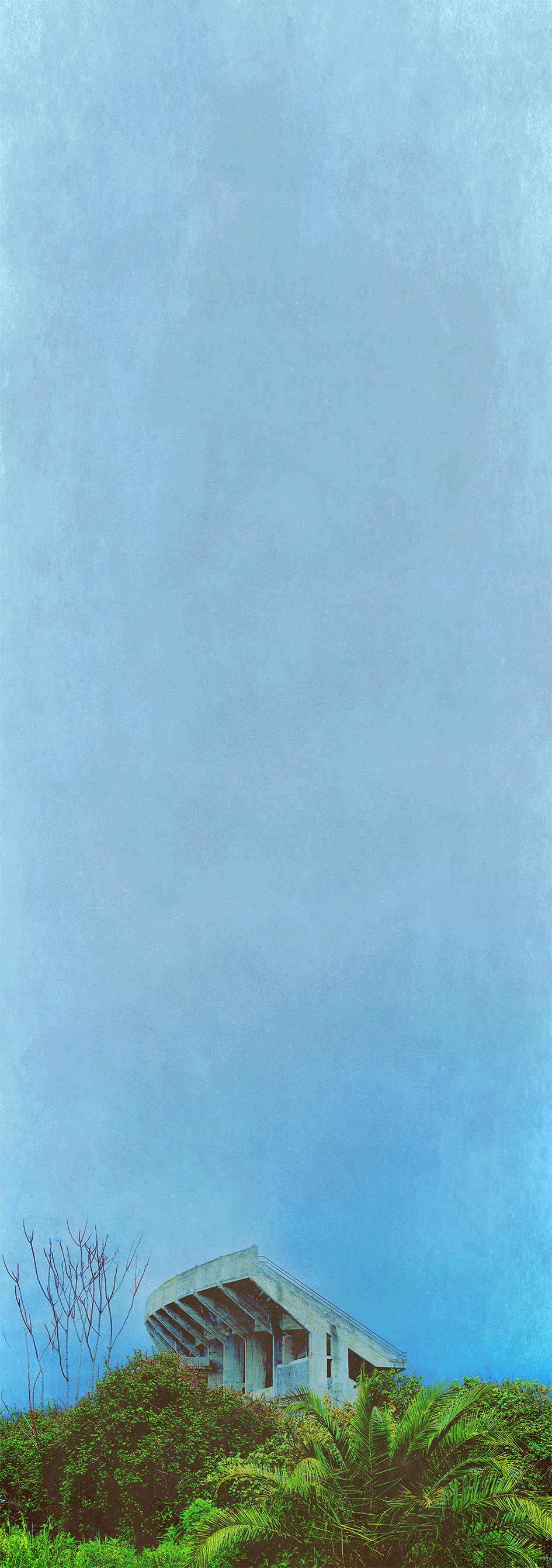+ based on a photo by Amélie Labourdette