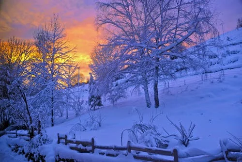 What a Winter!  