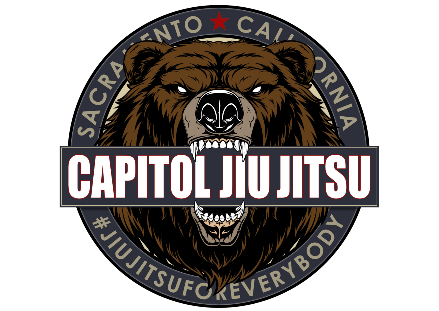 CAPITOL JIU JITSU | Sacramento, CA 