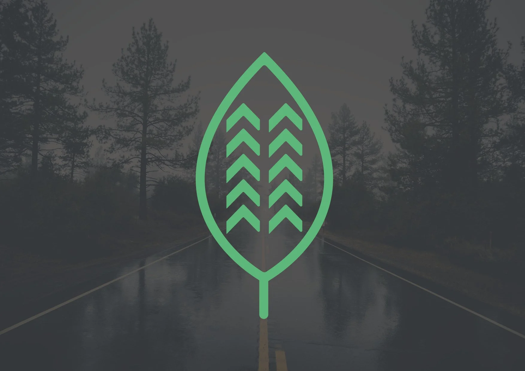 PREZ-LOGOS-ECOLUX8.jpg