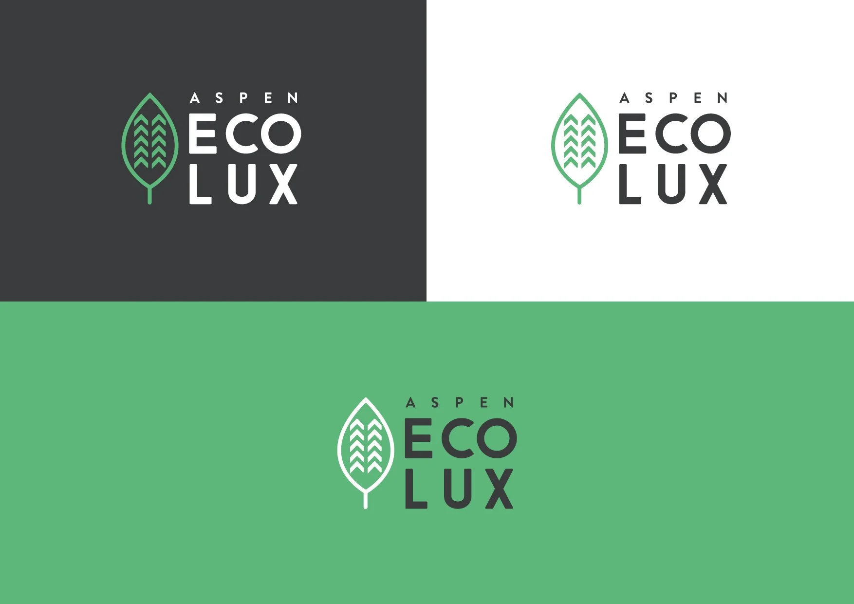 PREZ-LOGOS-ECOLUX12.jpg