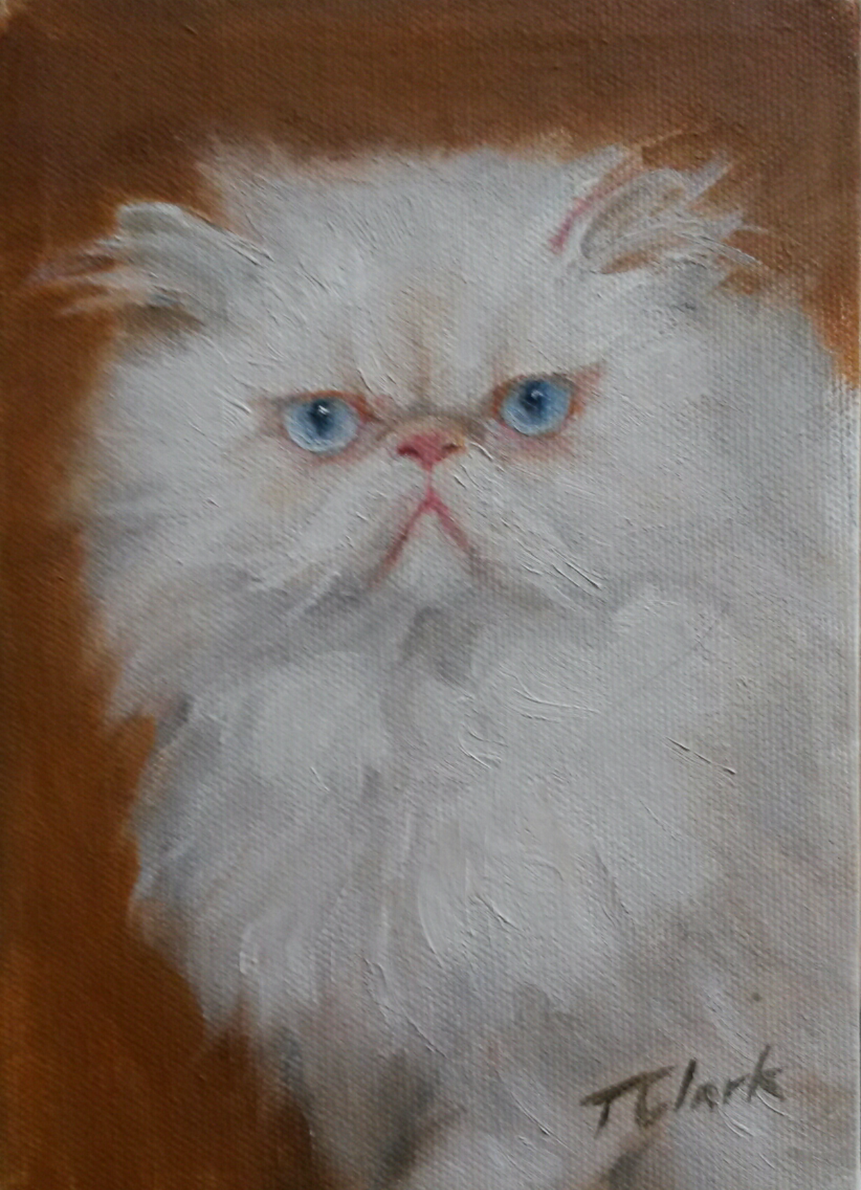 Portrait of Mambo | Tom Clark