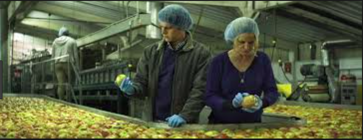 Screen Shot 2018-04-26 at 12.02.53 PM.png