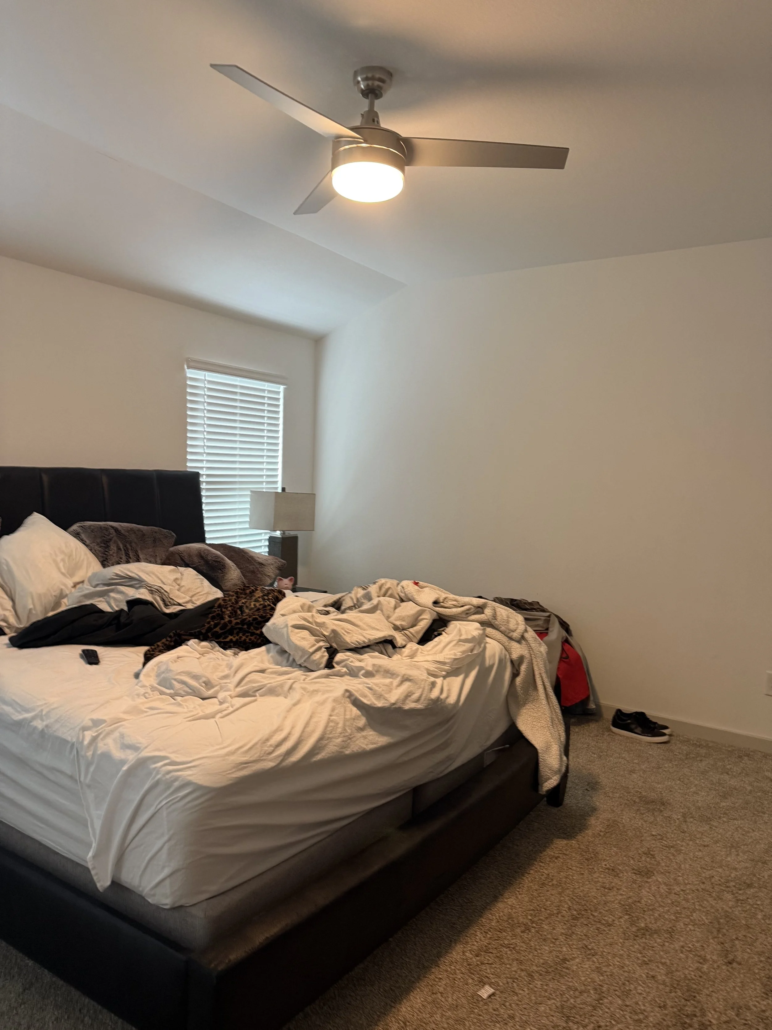 IMG_1952.jpeg