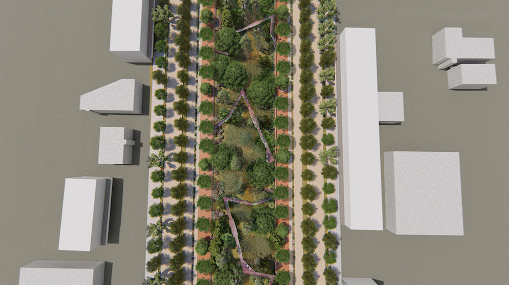 Plan View
