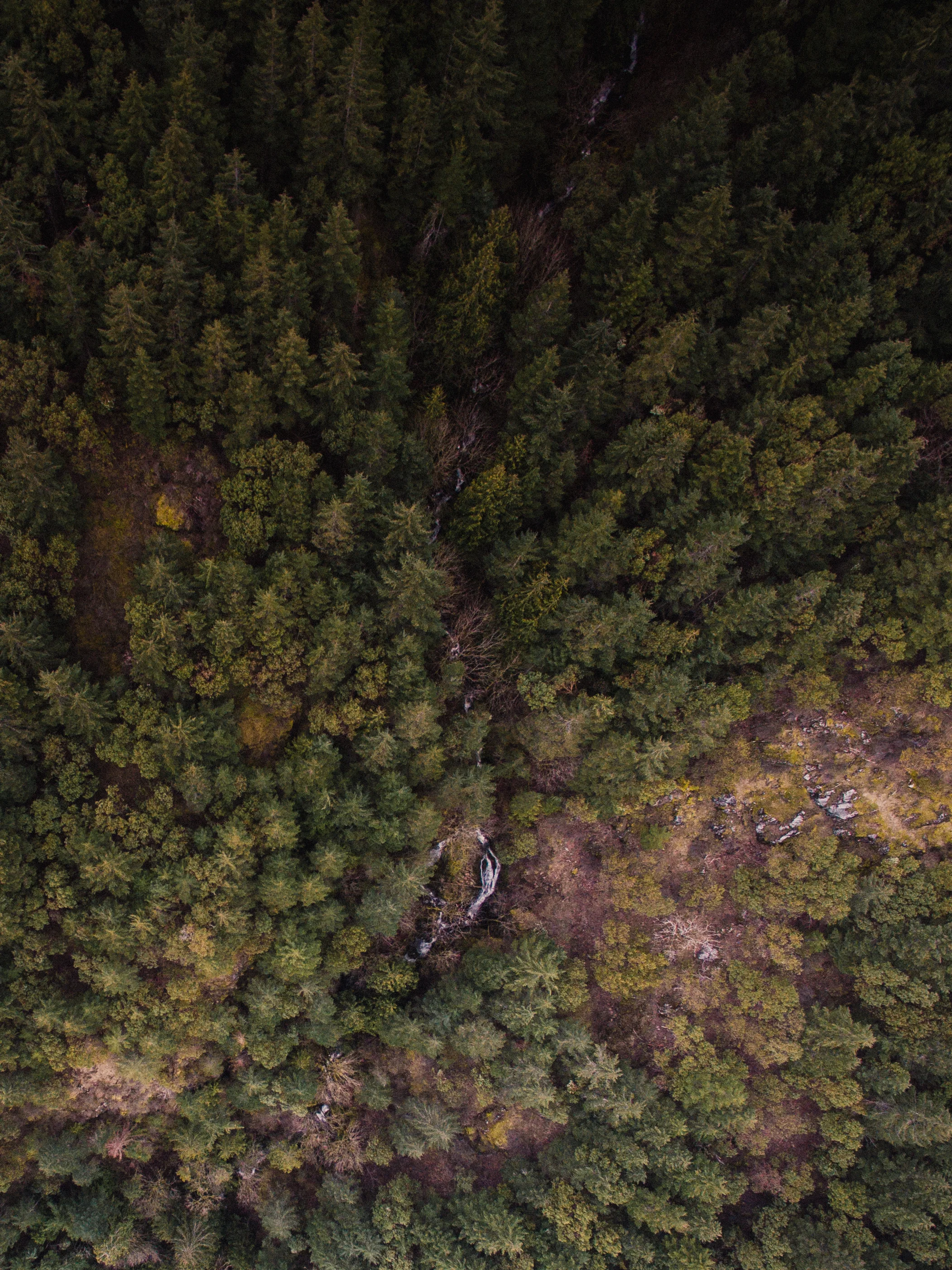 DJI_0011.jpg