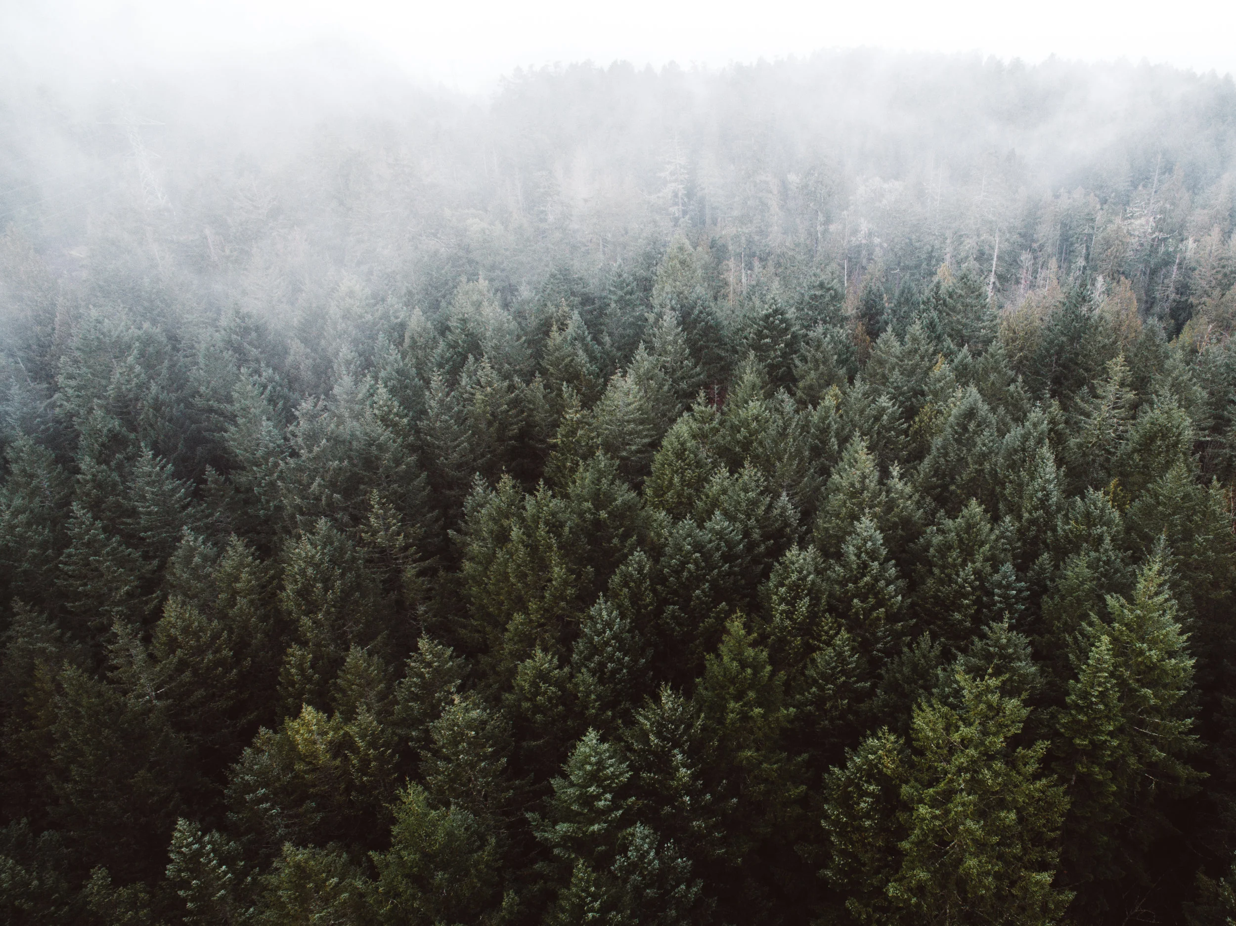DJI_0013.jpg