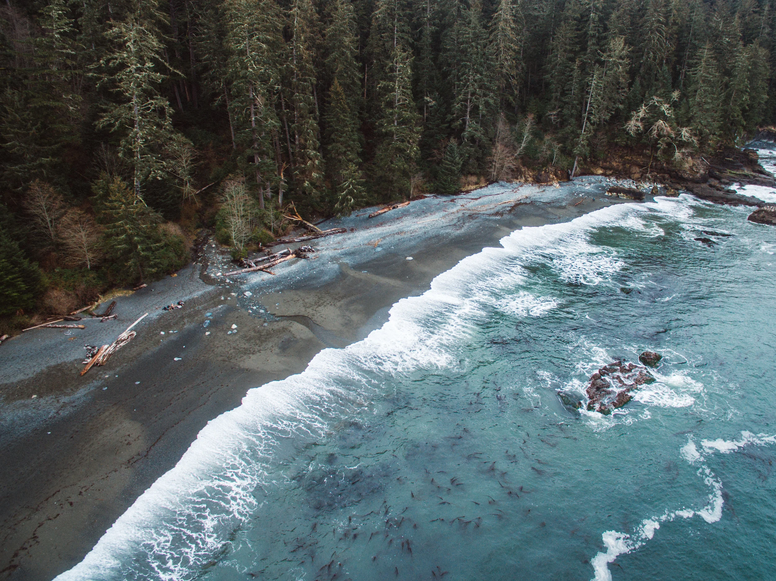 DJI_0017.jpg