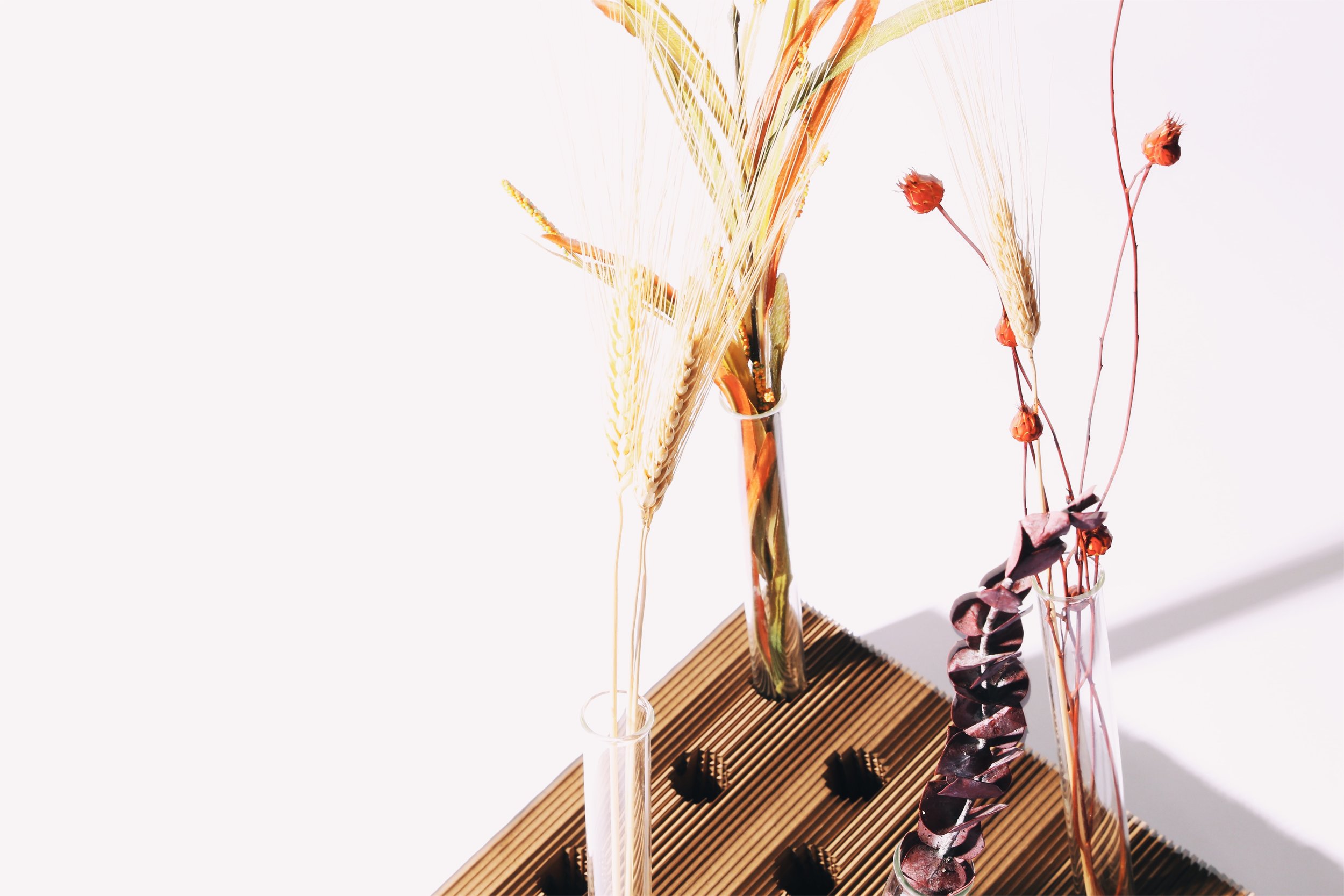 Attachment-2 (7).jpeg